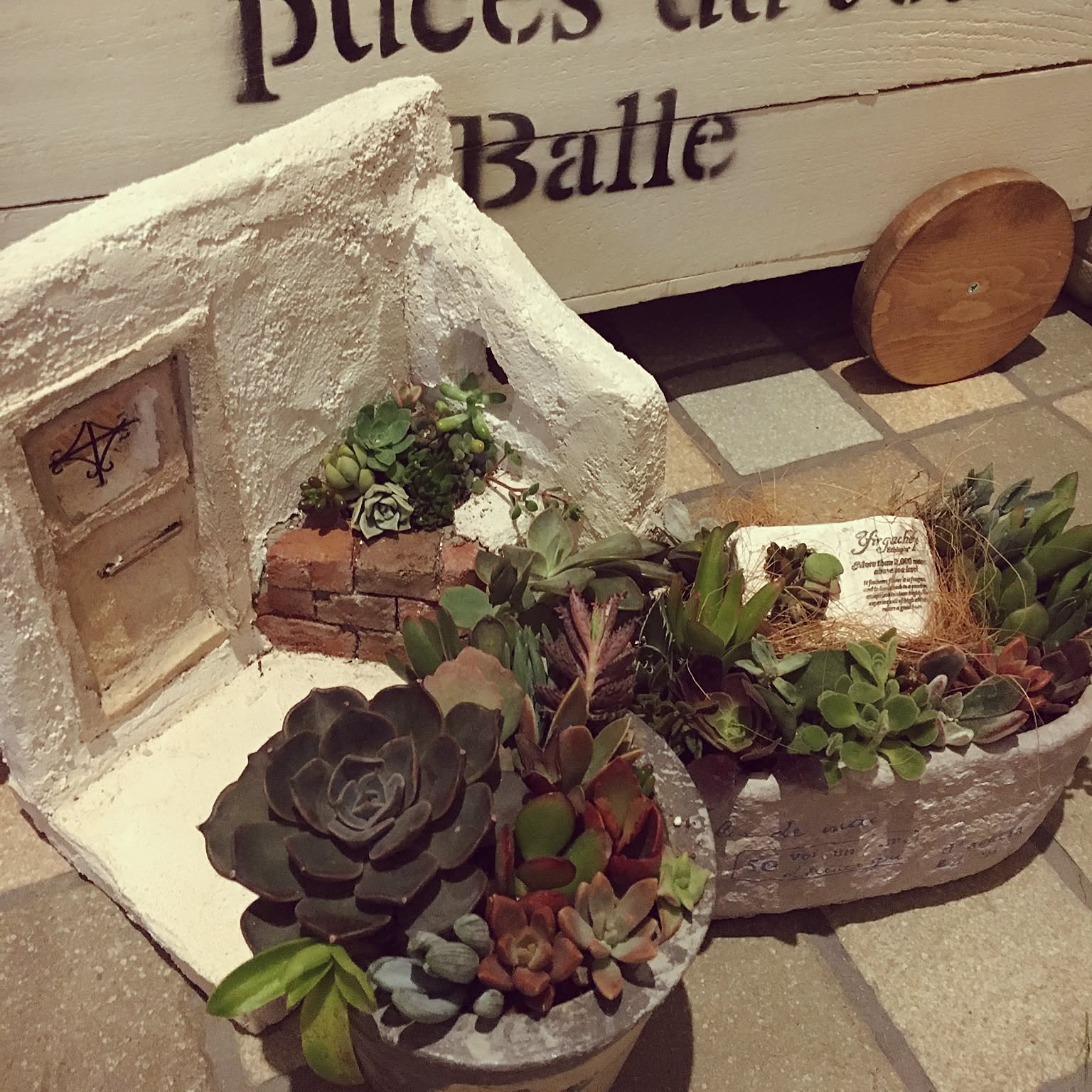 多肉植物も植えれる　モルタルハウス　リッカー モルタルデコ）多肉植物にぴったりな鉢 botanさんとコラボさせて