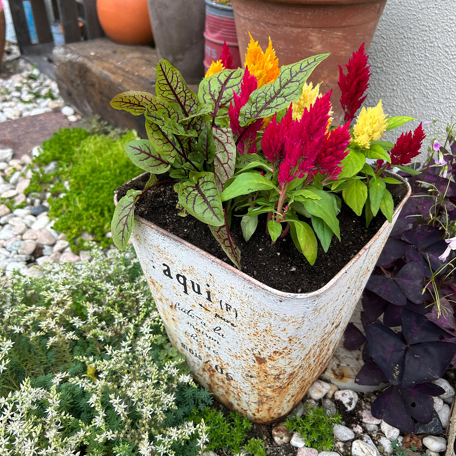 7240c3f692ae4fd86e9f92aed82961