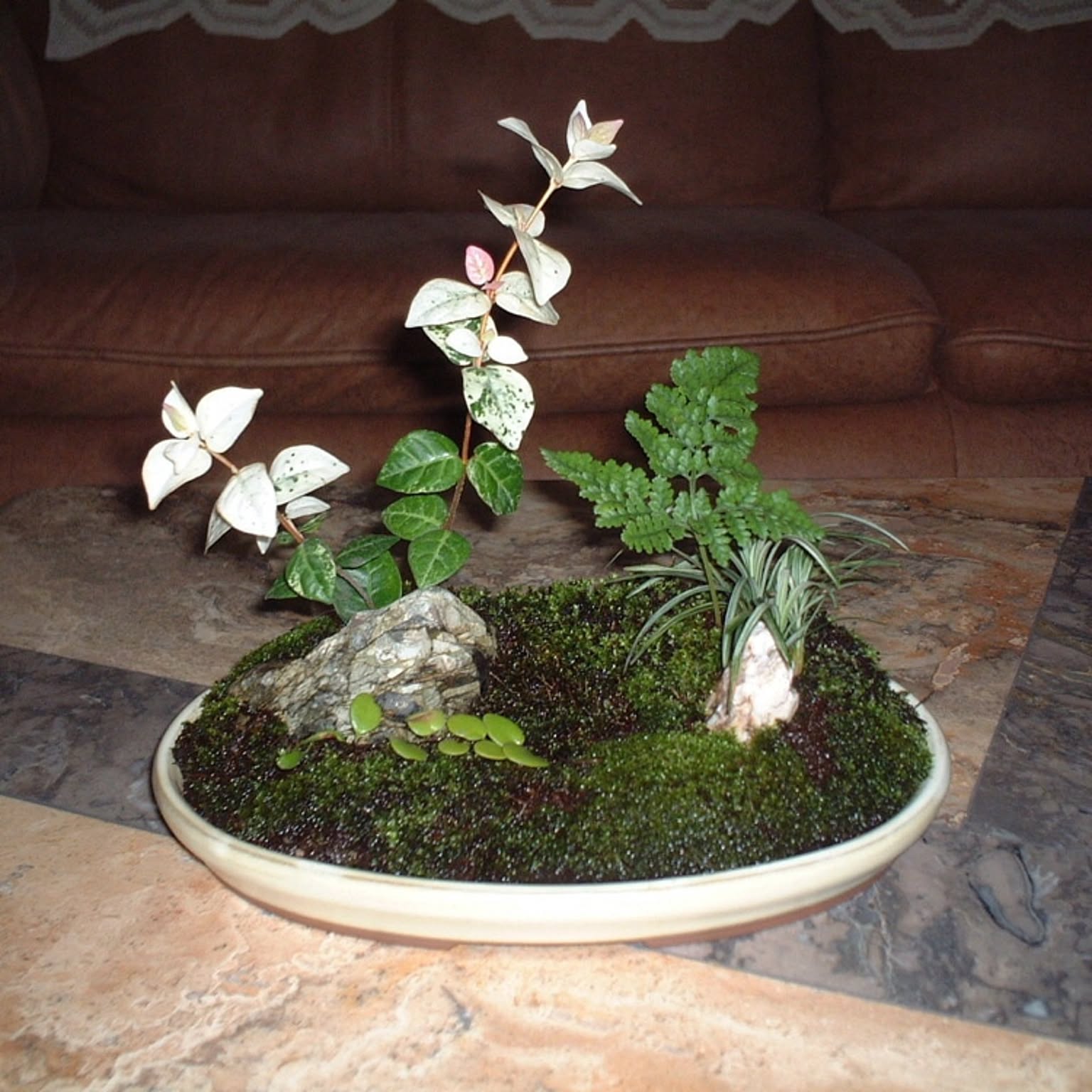 寄せ植え 盆栽のおしゃれなアレンジ・飾り方のインテリア実例