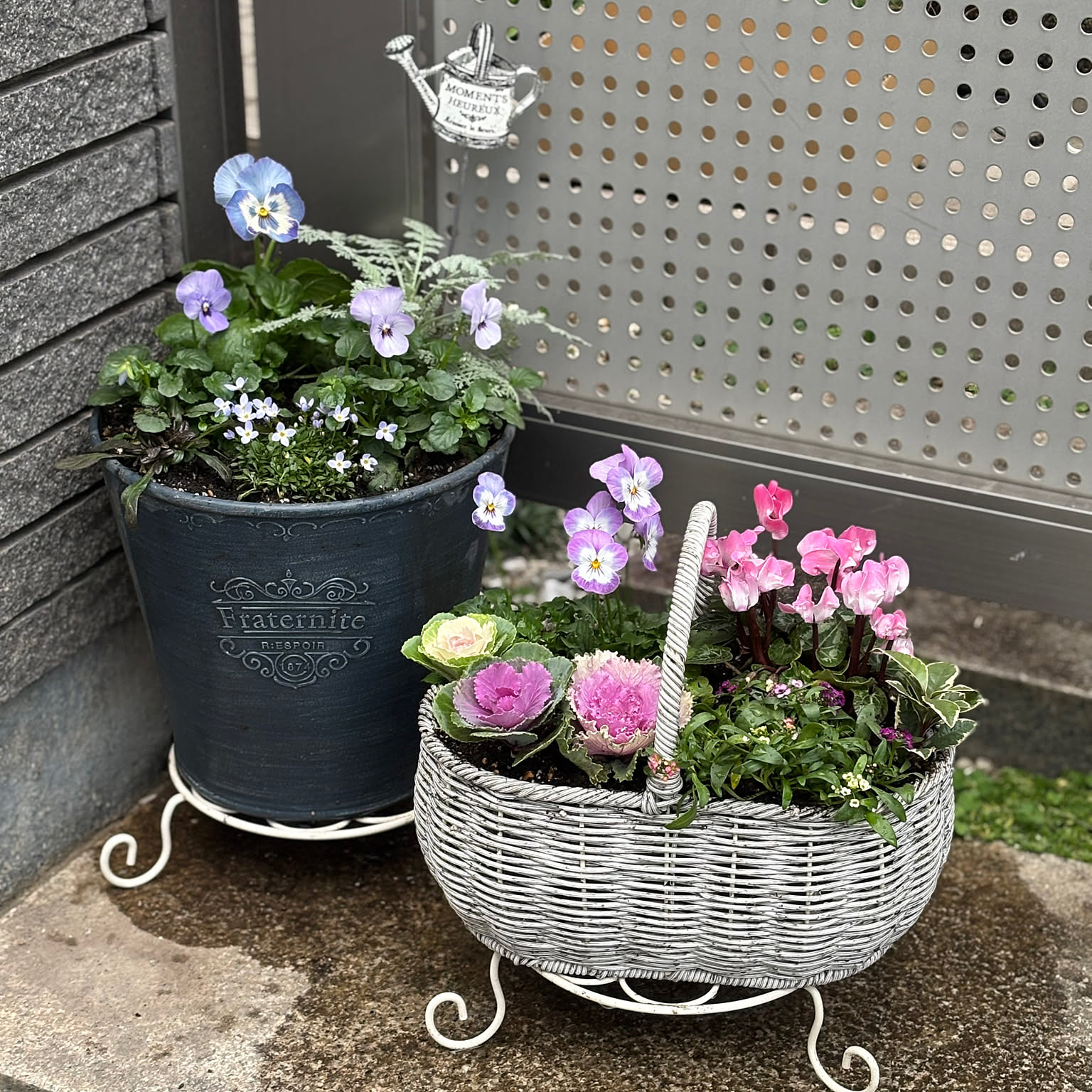 花が好き/冬の寄せ植え/花の寄せ植え/Instagram→r_6cafe/ありがとう