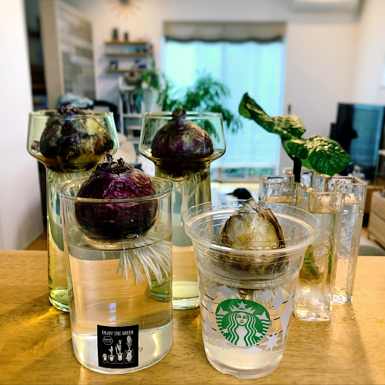 727f7396868e71422862b189ee87c2