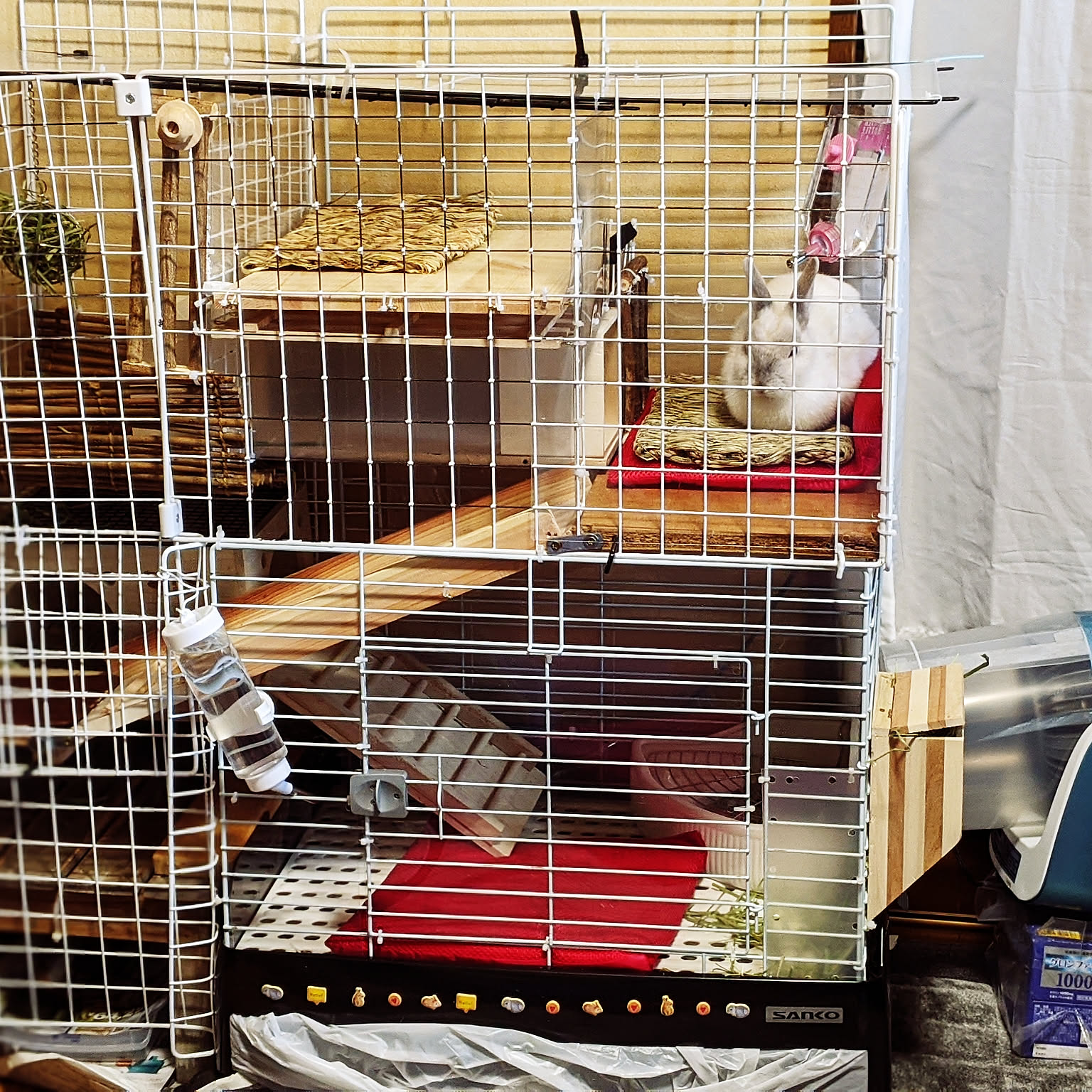 うさぎ小屋 うさぎケージのインテリア実例 ｜ RoomClip（ルームクリップ）