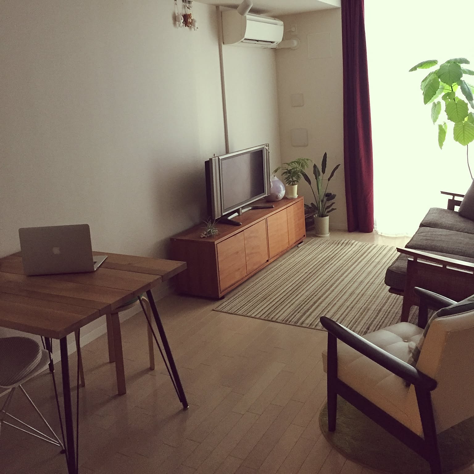 リビング/カリモク60/観葉植物/無印良品/賃貸マンションなど