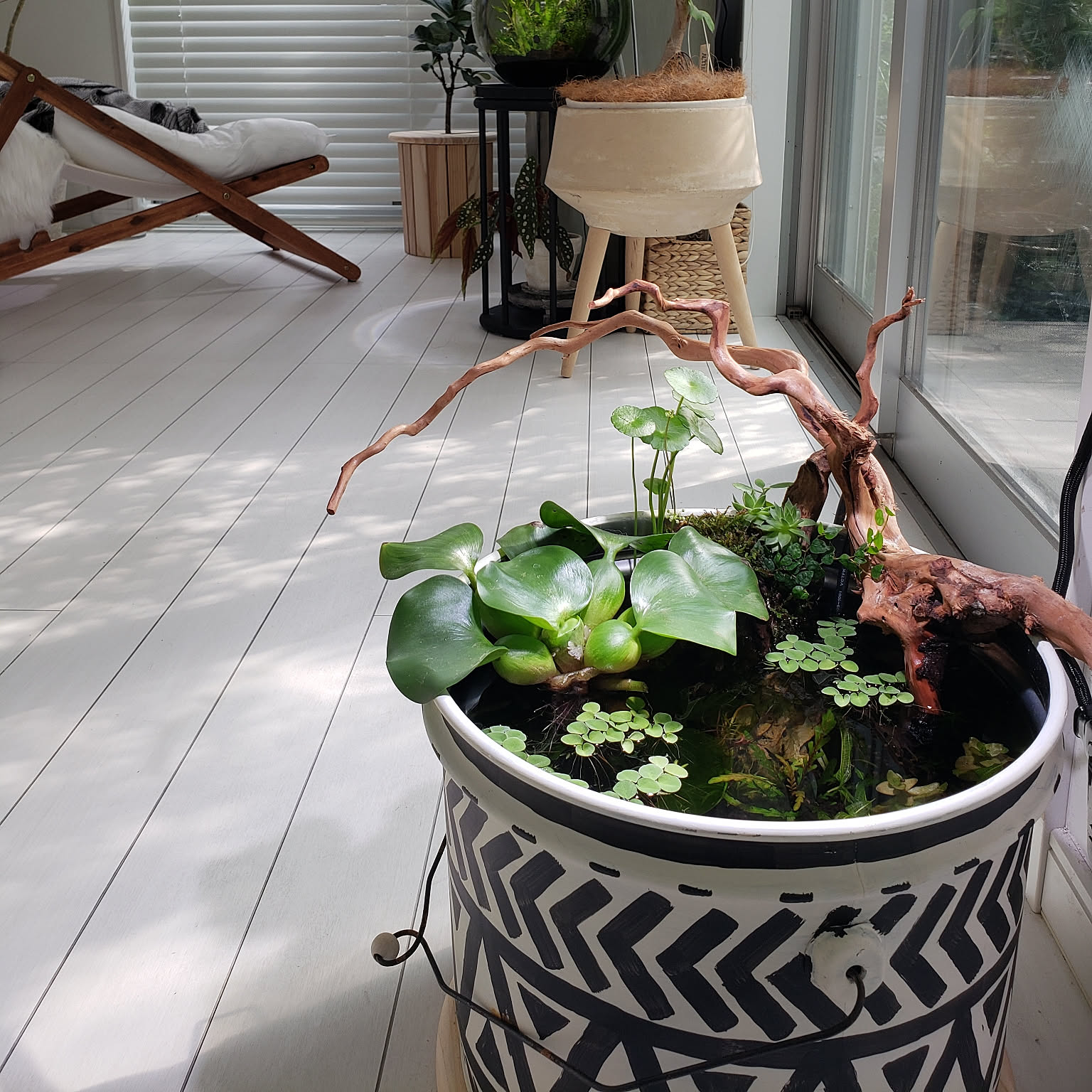 室内ビオトープのインテリア実例 ｜ RoomClip（ルームクリップ）