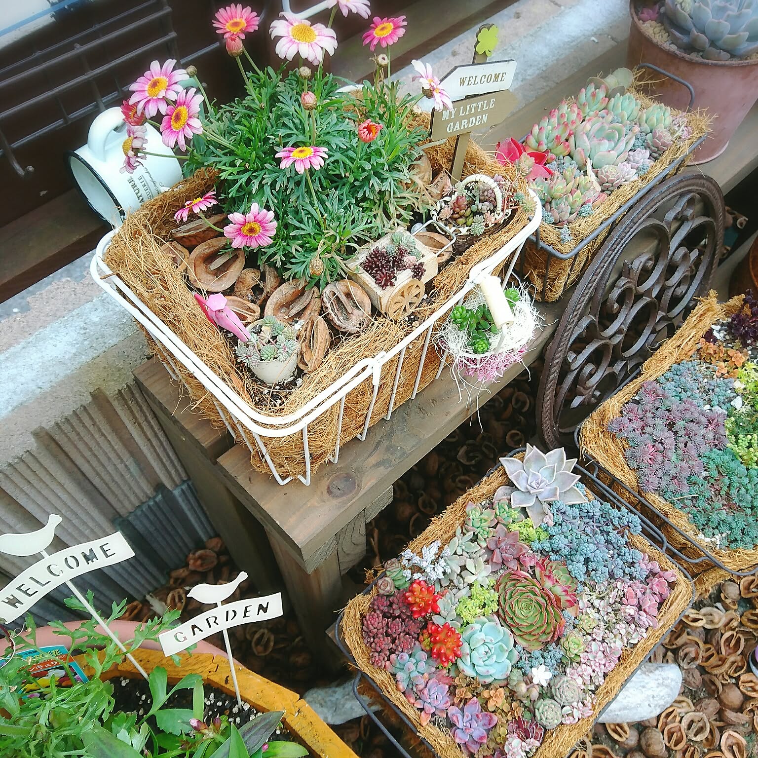 花のある暮らし かごに寄せ植えのおすすめ商品とおしゃれな実例