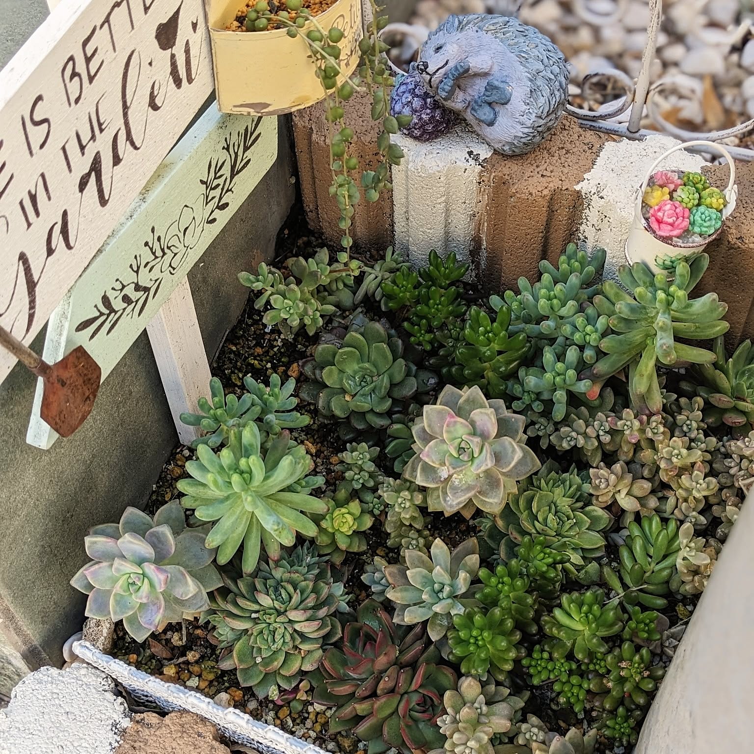 ✿多肉寄せ植え✿ワイヤークラフト✿そのまま飾れます 多肉植物 ワイヤークラフトのおしゃれなアレンジ・飾り方の