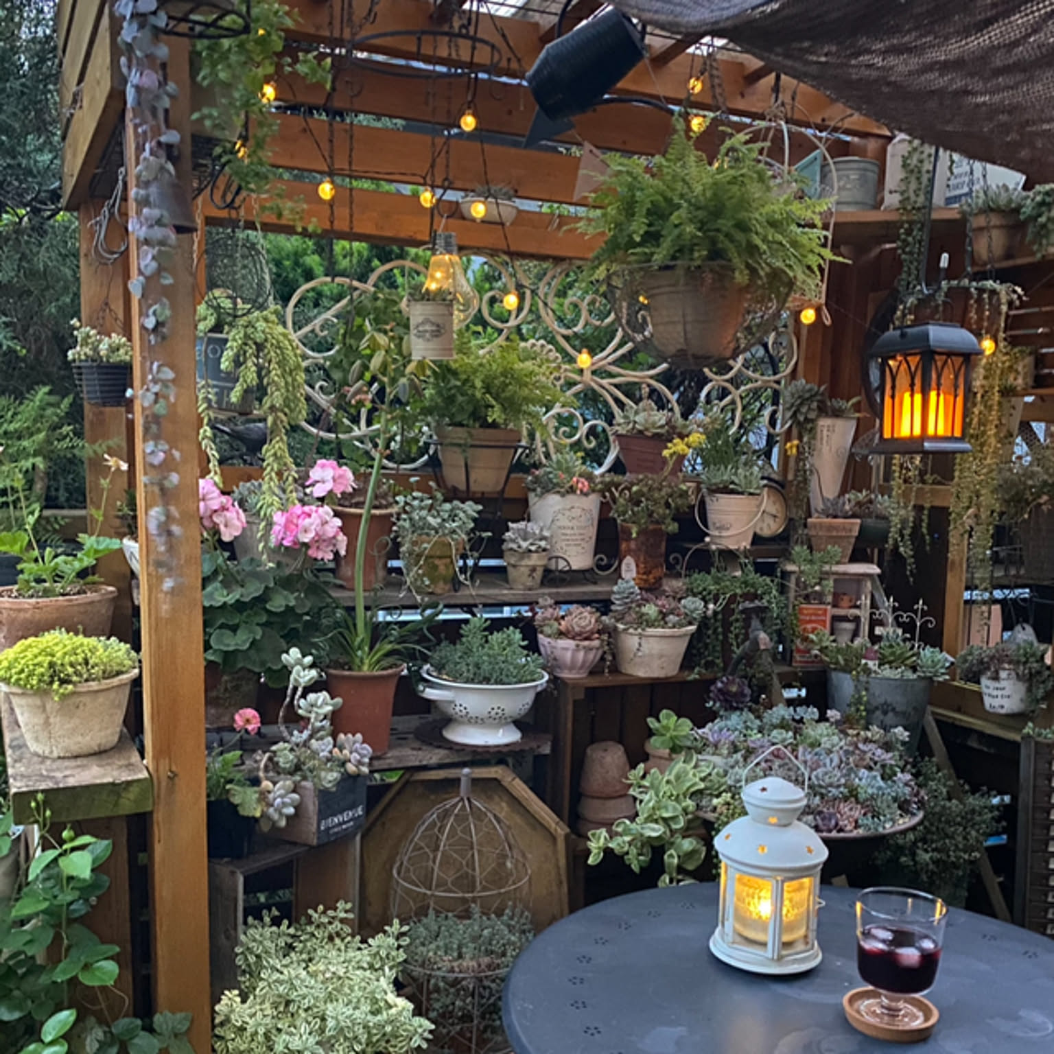 74d94a82bab88677c82dee2ac4fc3b