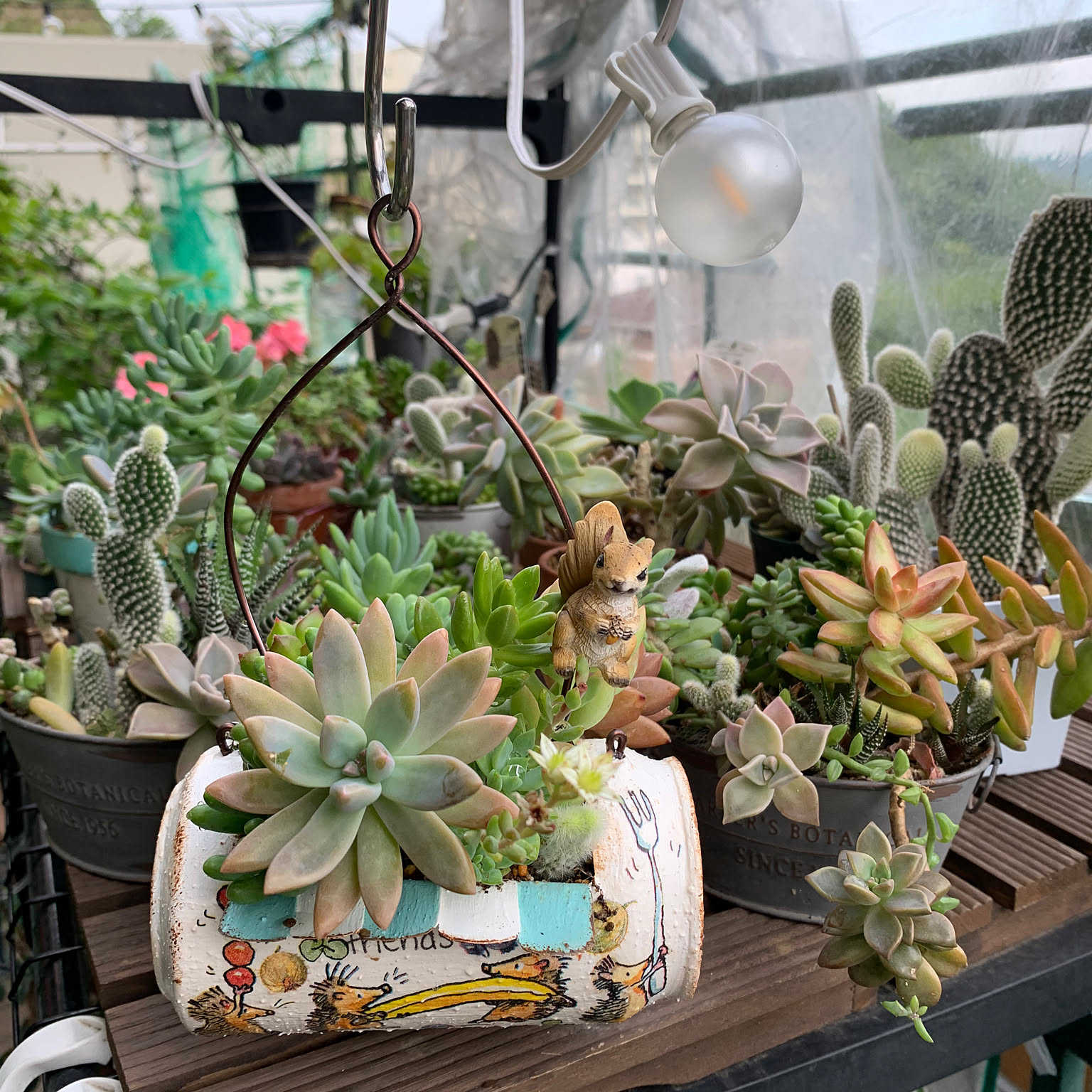 多肉植物寄せ植え/リメイク缶/ガーデン雑貨/好きな時間/癒しなどの