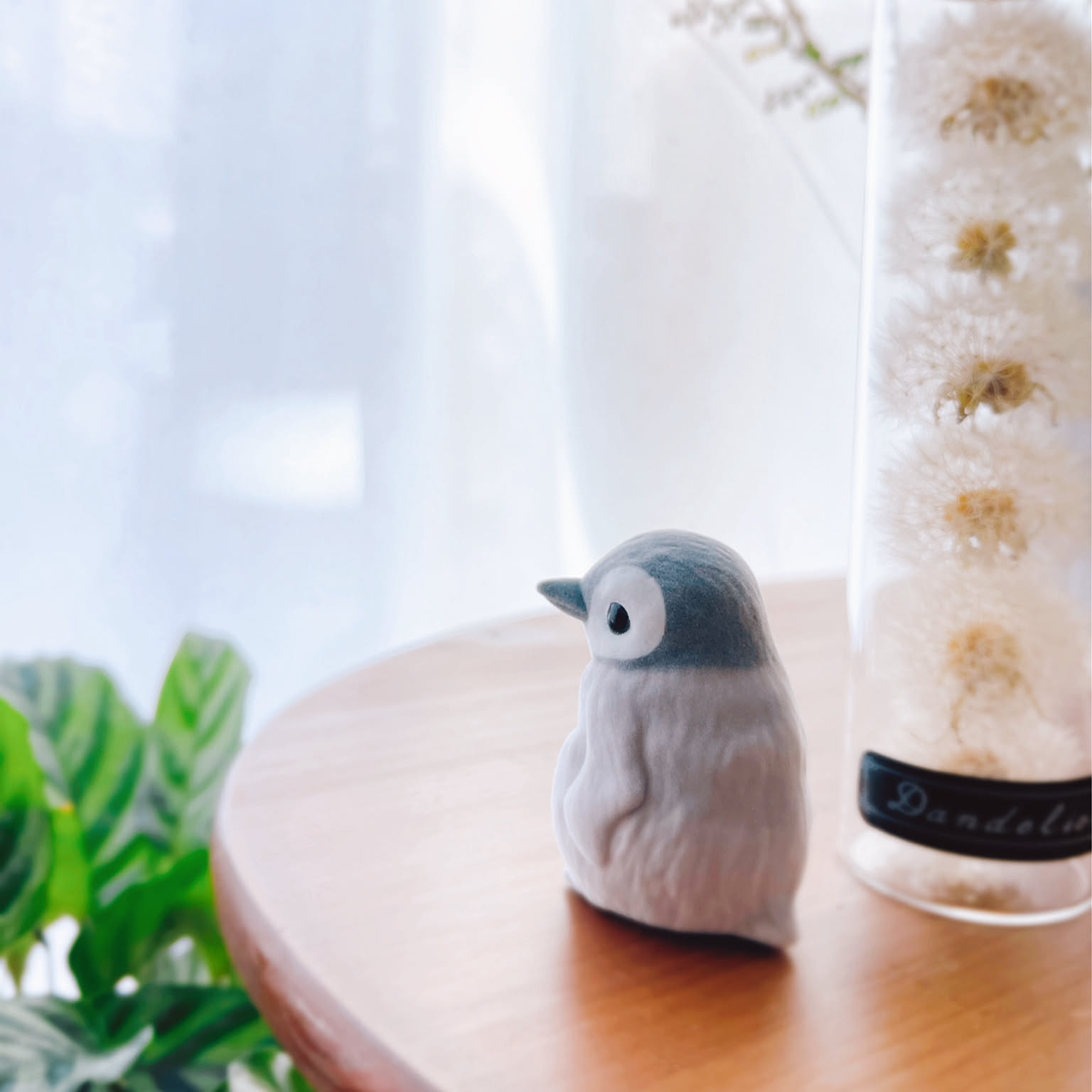 ドライフラワー もふもふのおすすめ商品とおしゃれな実例 ｜ RoomClip