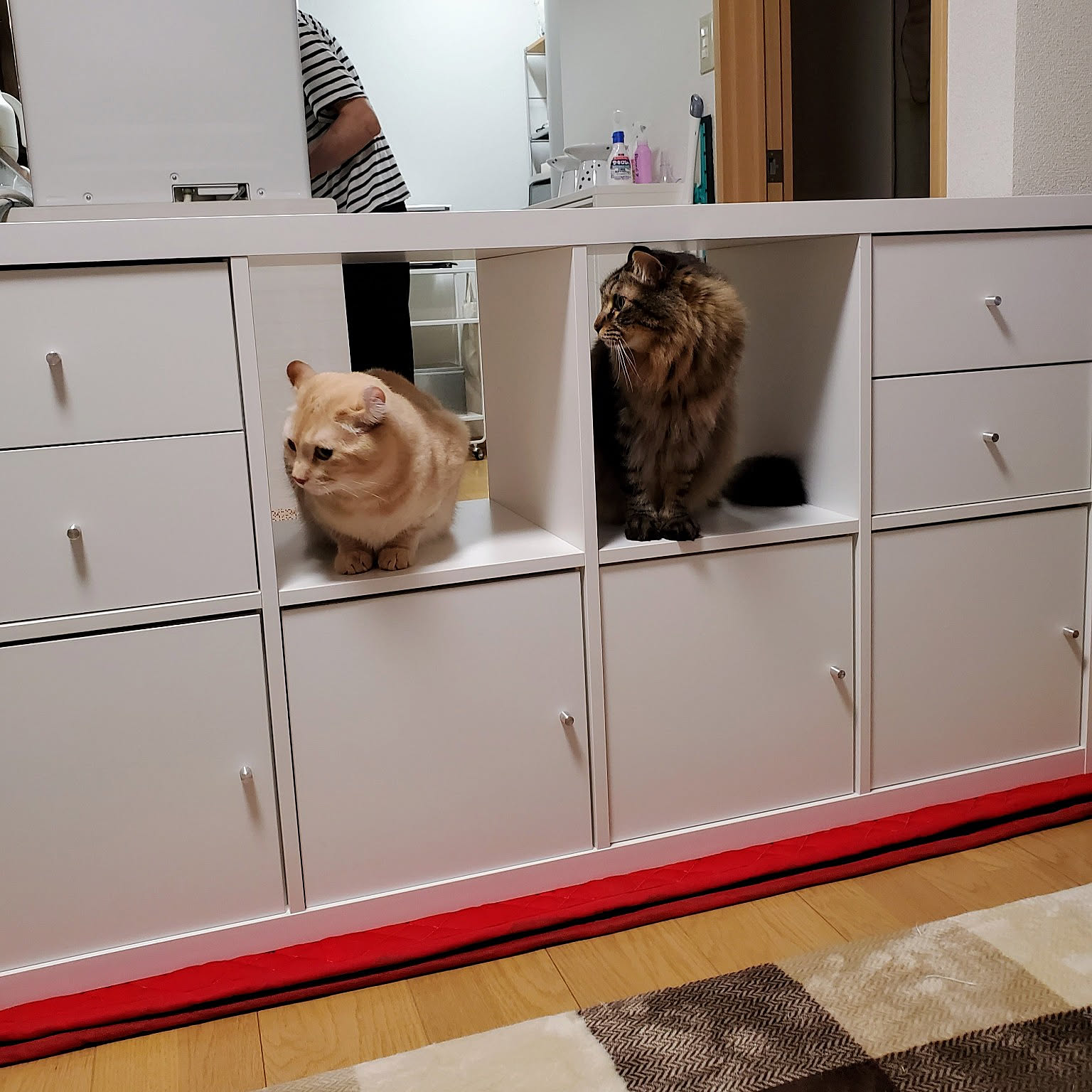【新品】IKEA 猫 キャットハウス KALLAX ホワイト Ikea KALLAX Cat House Shelf Insert, 13x13
