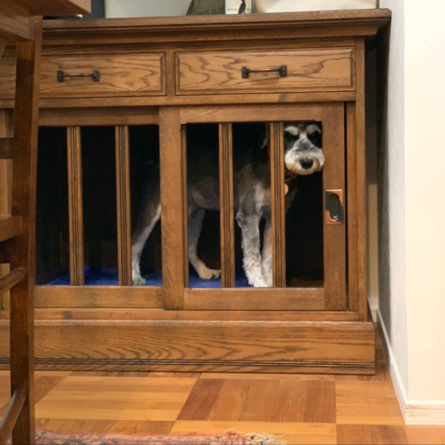 アメリカンな犬小屋 (福岡県近郊限定)