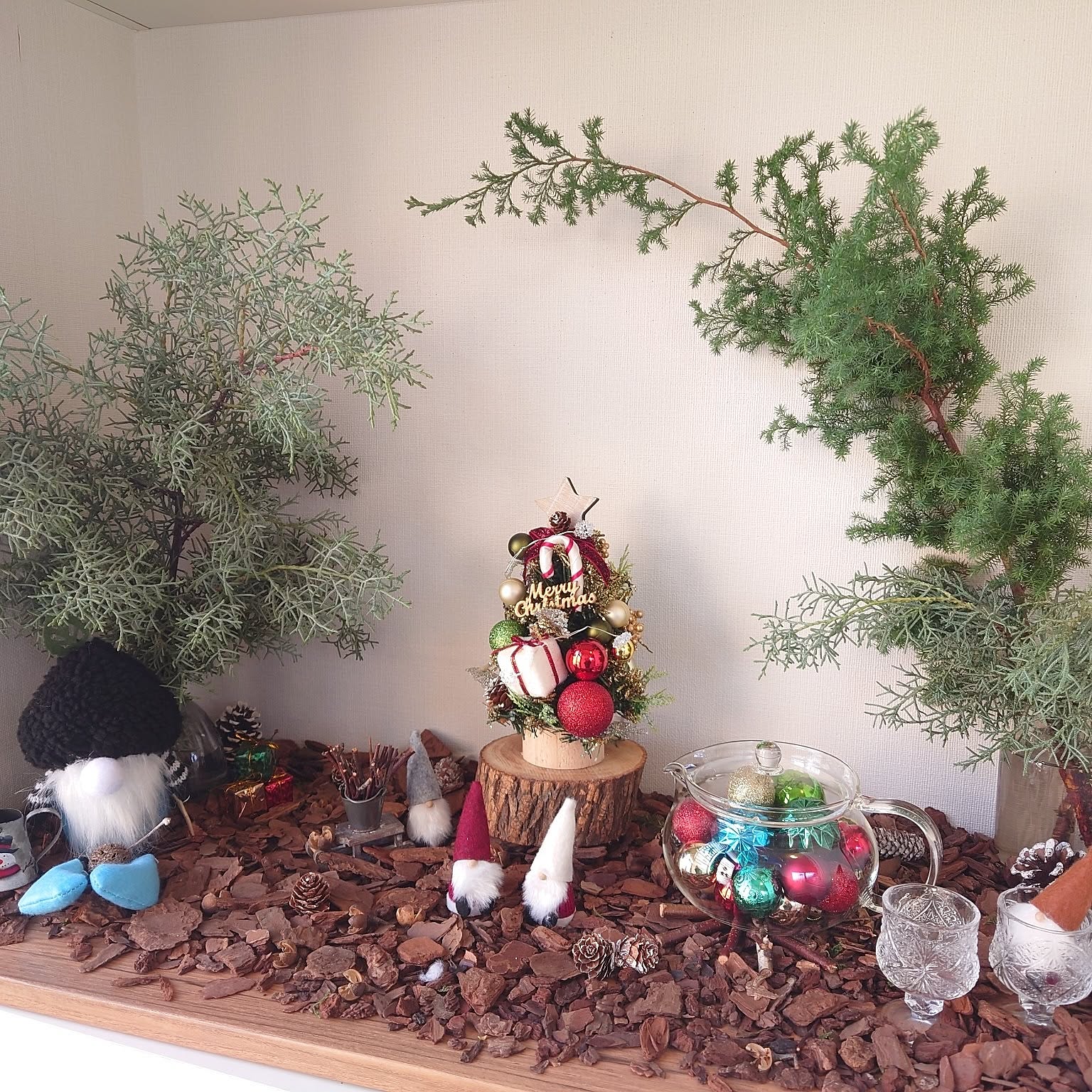 ブルーアイス ヒムロスギのおすすめ商品とおしゃれな実例 ｜ RoomClip