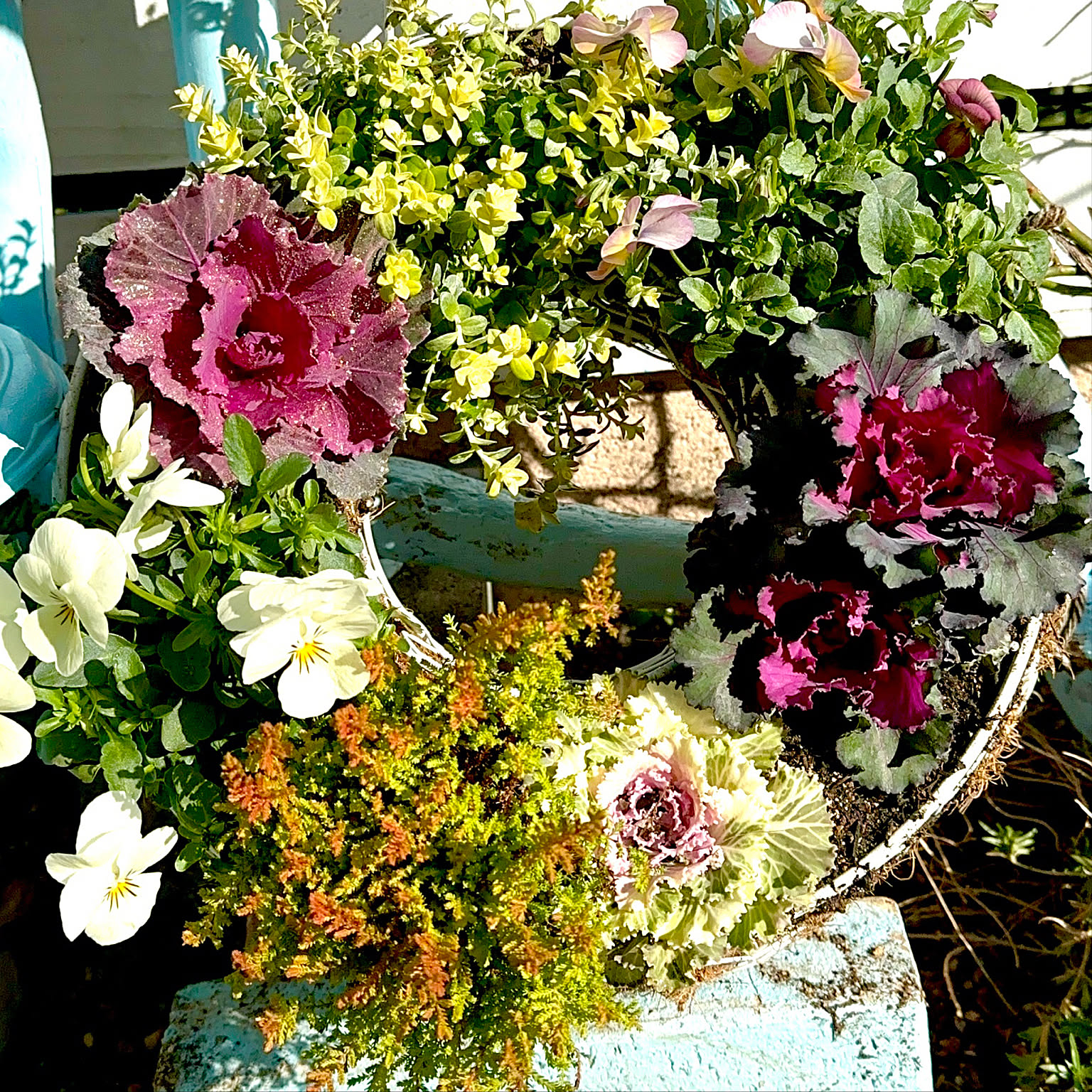 ビオラ リース型 寄せ植えのおすすめ商品とおしゃれな実例 ｜ RoomClip