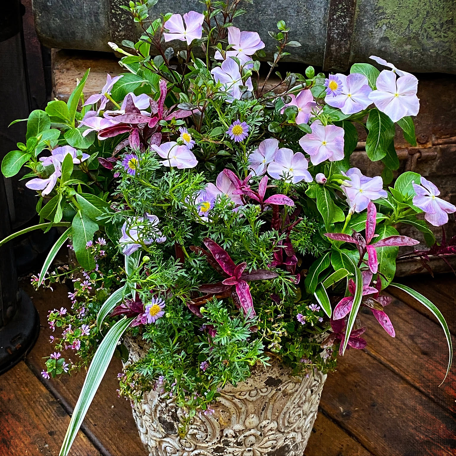 トルソー インテリア雑貨 ガーデニング雑貨 ギャザリング 寄せ植え