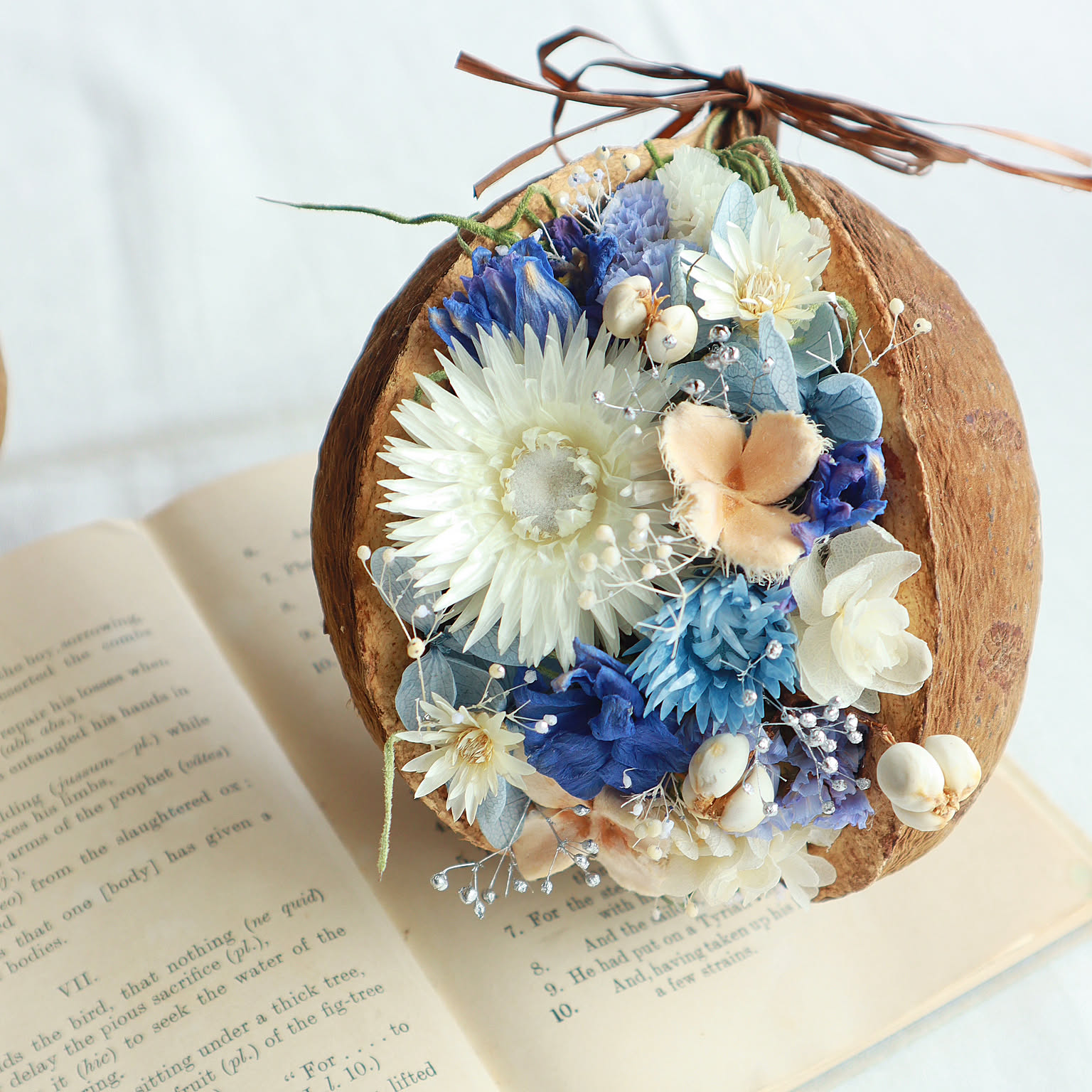 幸せを呼ぶ実 ブッダナッツ(小さめ)【ピンク×水色 ベイビーカラー