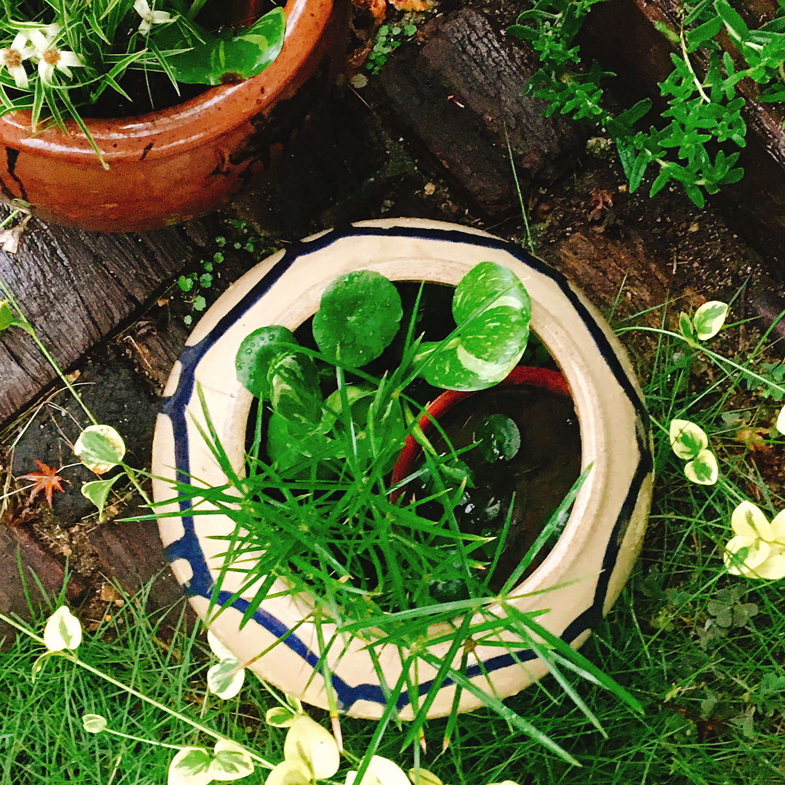 水瓶　壺　庭インテリア 水瓶壺庭インテリア