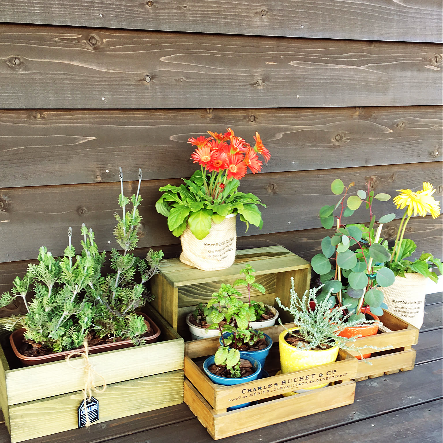 ポポラスユーカリガーランドアレンジ ユーカリ・ポポラスのアレンジ | 福井の多肉Garden+Flower *Grow