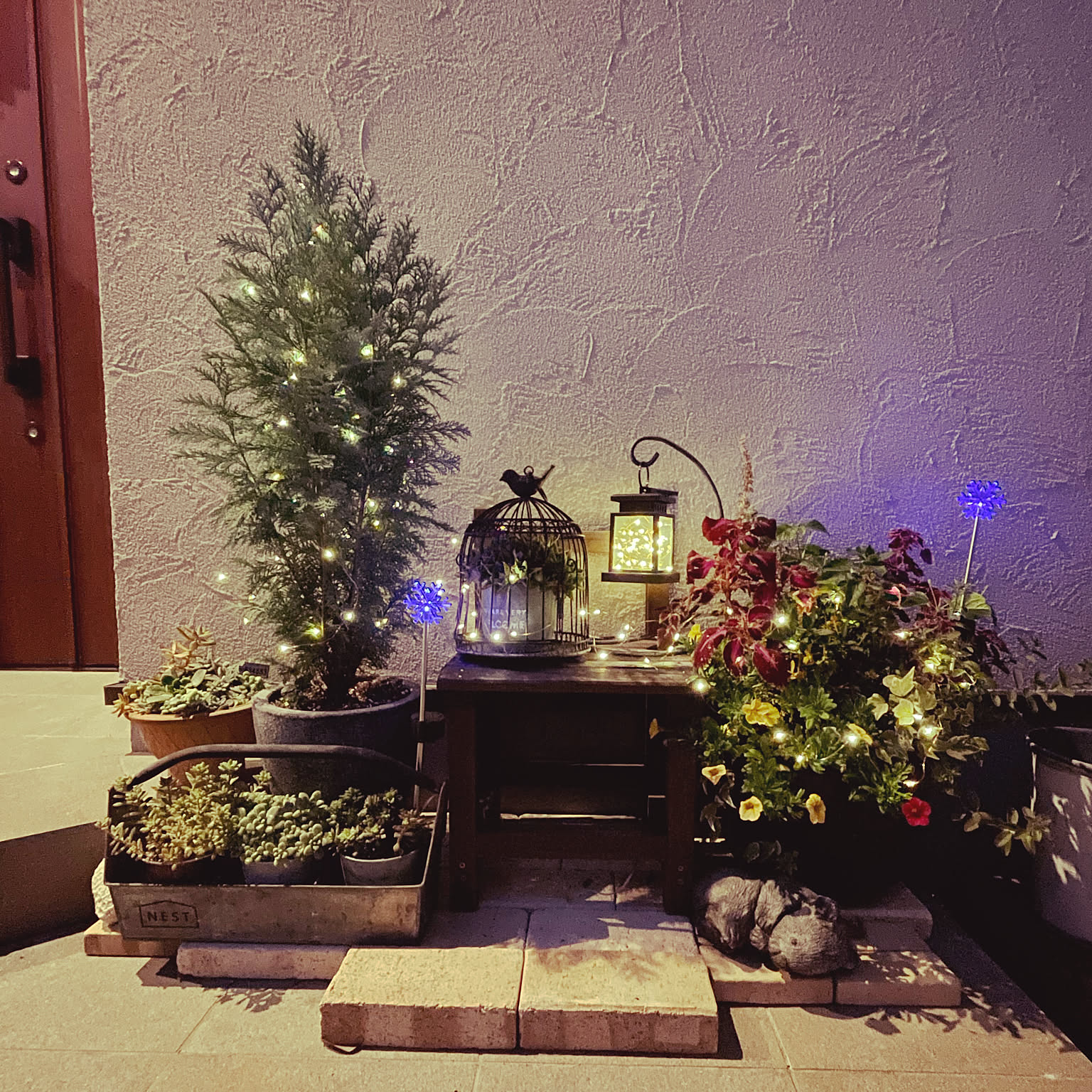 コニファー クリスマス飾りのおしゃれなアレンジ・飾り方の コニファー クリスマス飾りのおしゃれなアレンジ・飾り方の