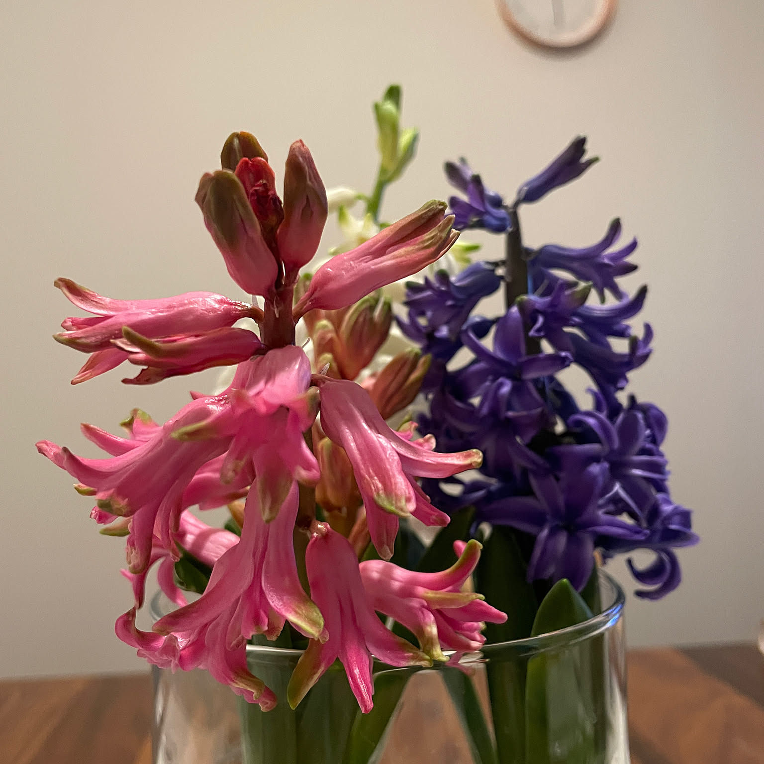 79dcb9130c62b71088bf40691cccdd