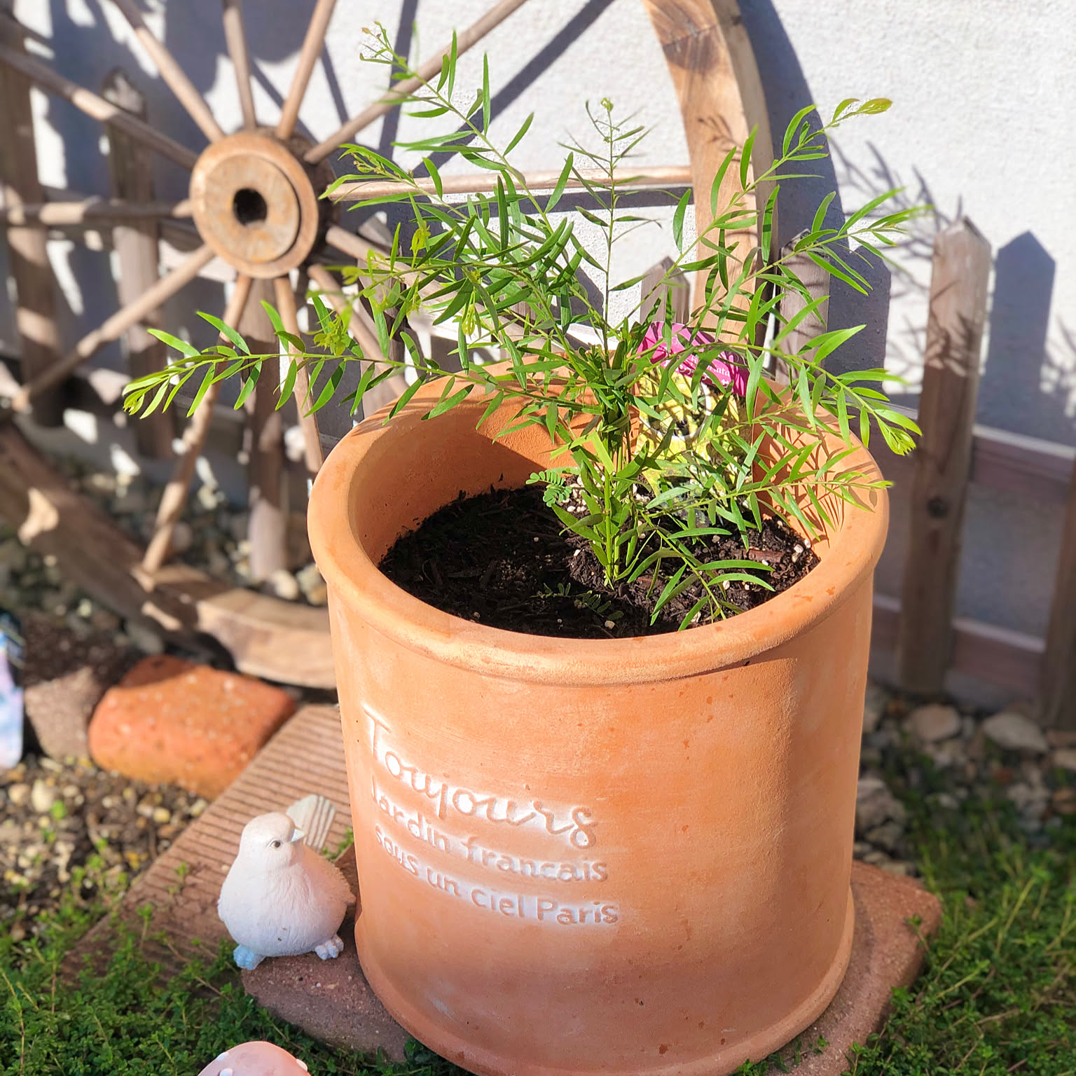 アカシアテレサのおすすめ商品とおしゃれな実例 | RoomClip(ルーム アカシアテレサのおすすめ商品とおしゃれな実例 | RoomClip(ルーム