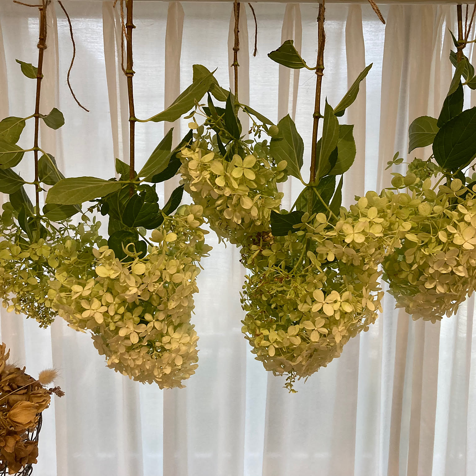 7abca33ee10c71b16d210709d4311a