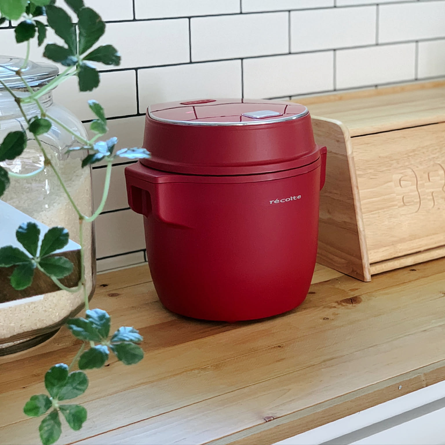 A red Recolte compact rice cooker displayed on a wooden kitchen counter.