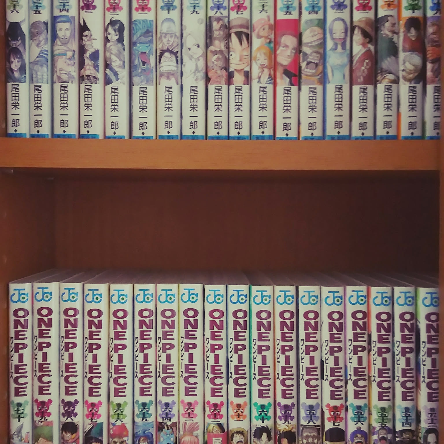 ワンピース 漫画収納のアイデア・おすすめ商品・おしゃれな実例