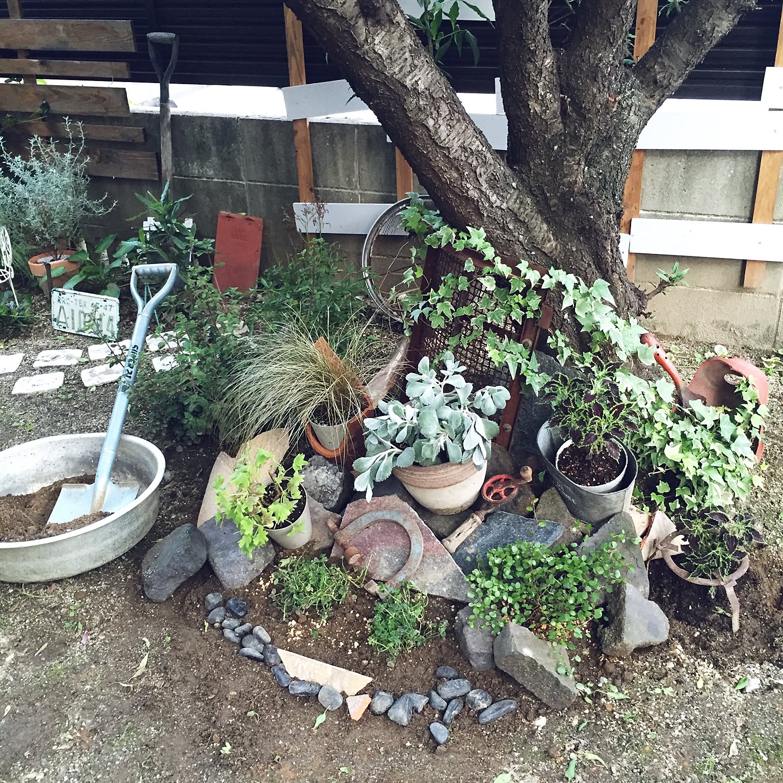 7c972b821fe345eec122d7edcd1acd