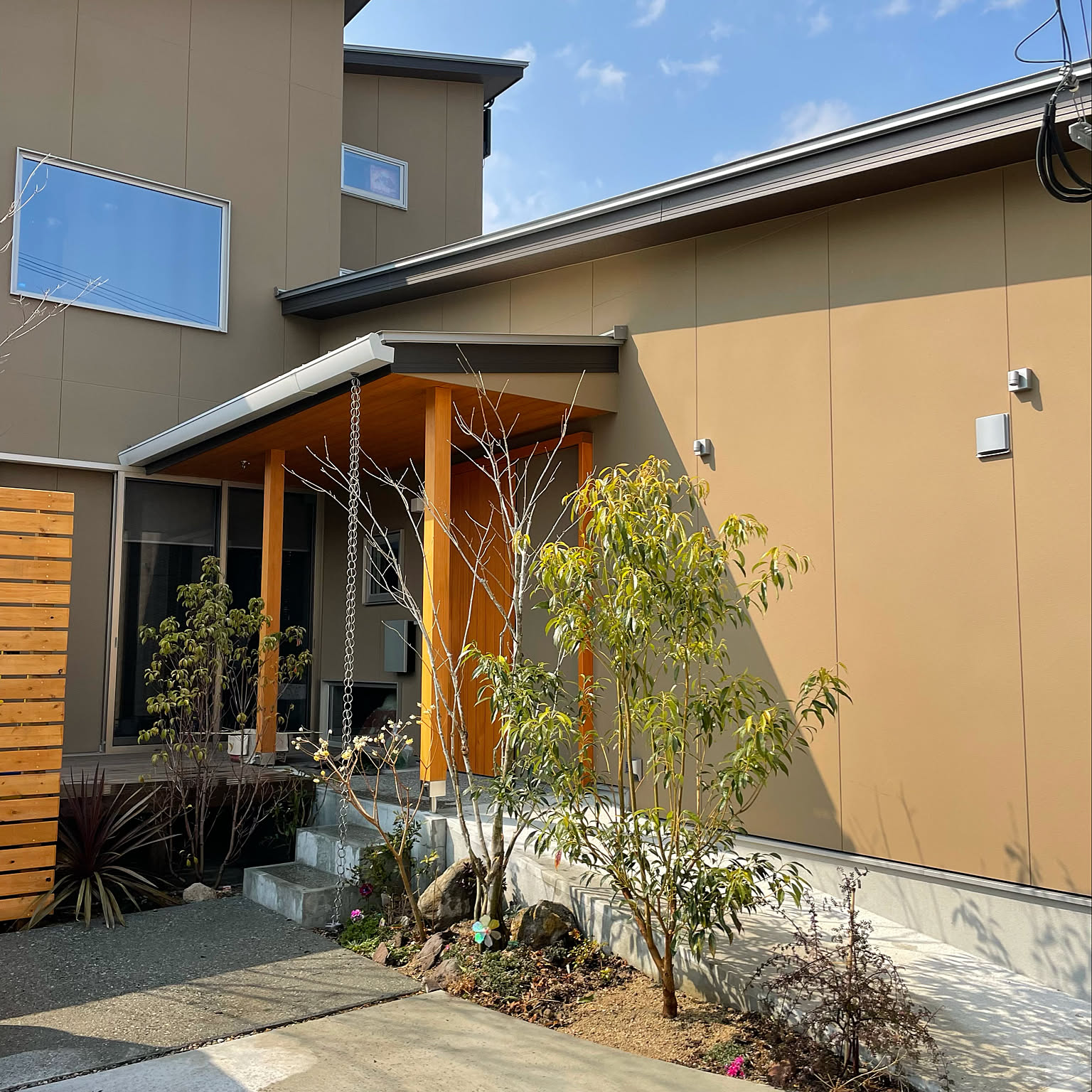 コバンモチ/常緑樹/2022.3.9/癒し/庭木などのインテリア実例 - 2022