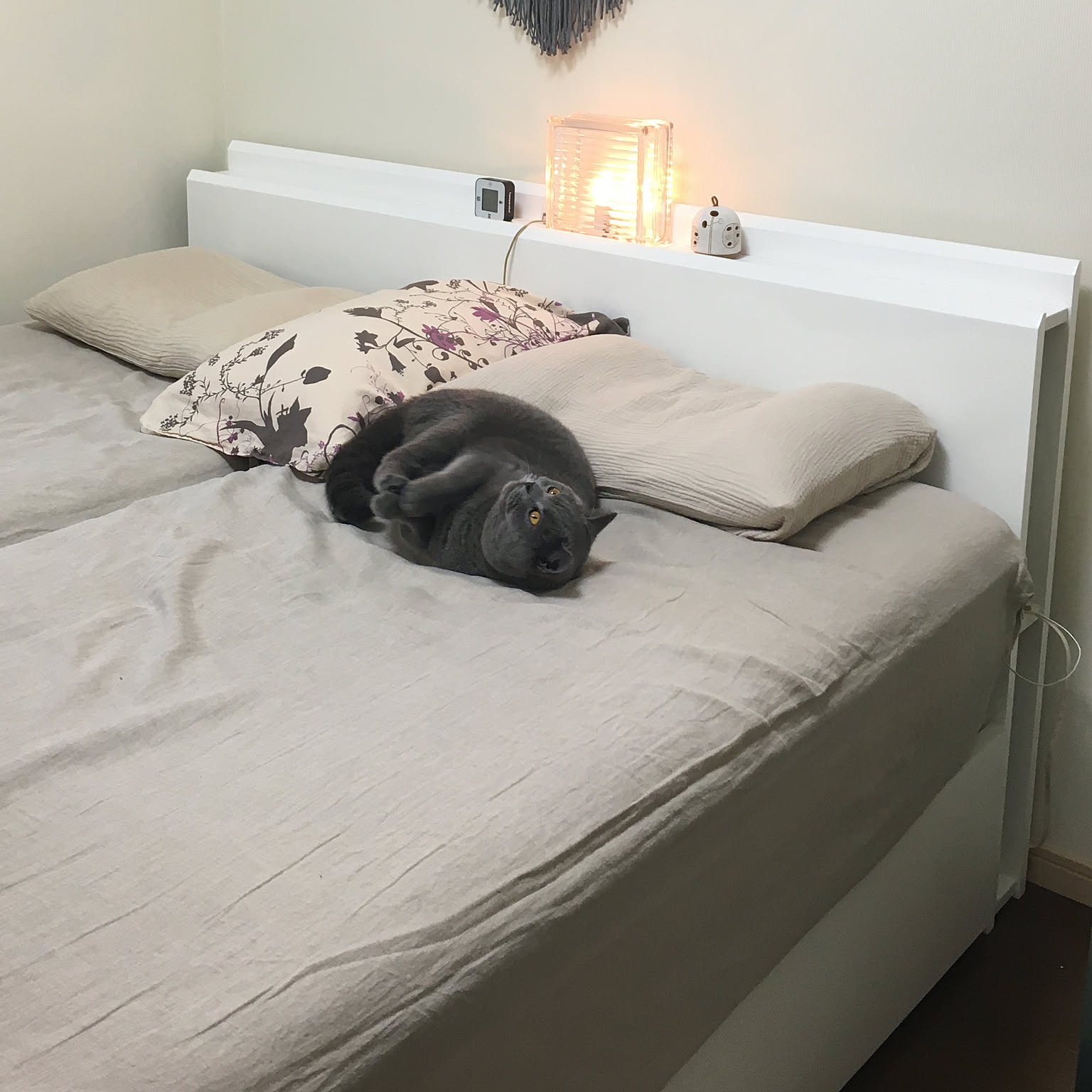 無印良品 クイーンサイズベッドのおすすめ商品とおしゃれな実例