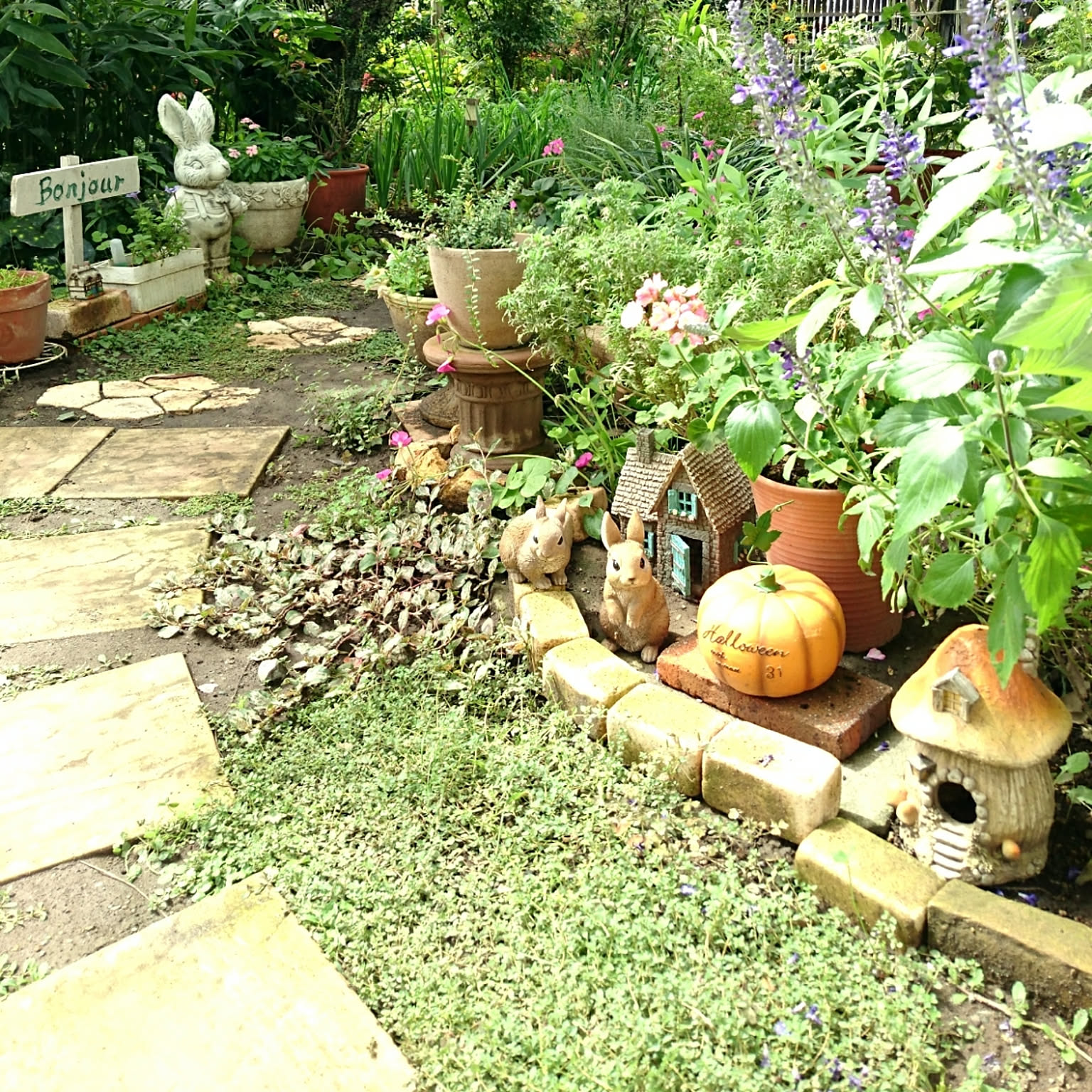 7e37d12d289581e071d97fc0e62f55