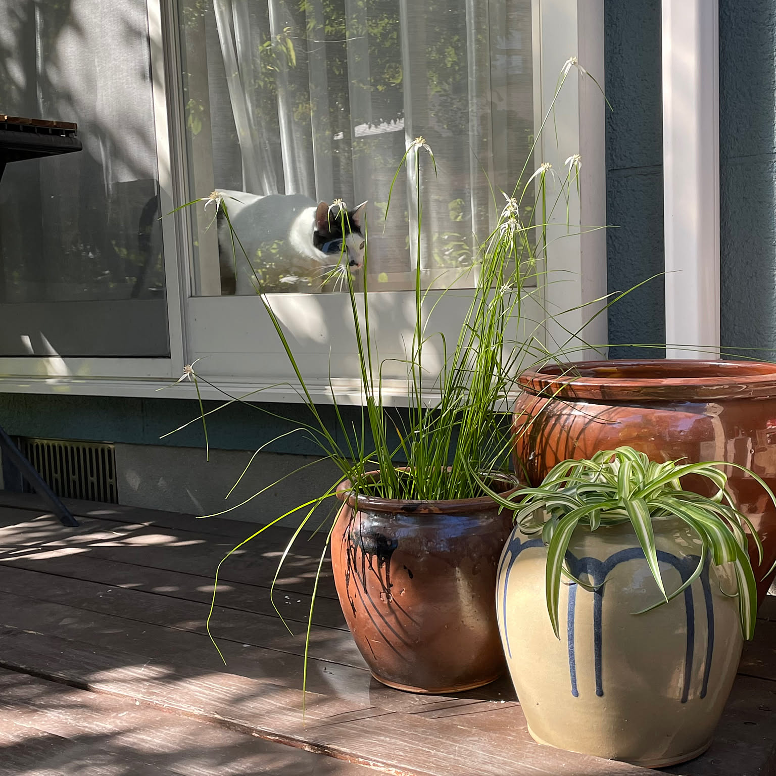 7ee975fda66d5da4165a38b48fc366