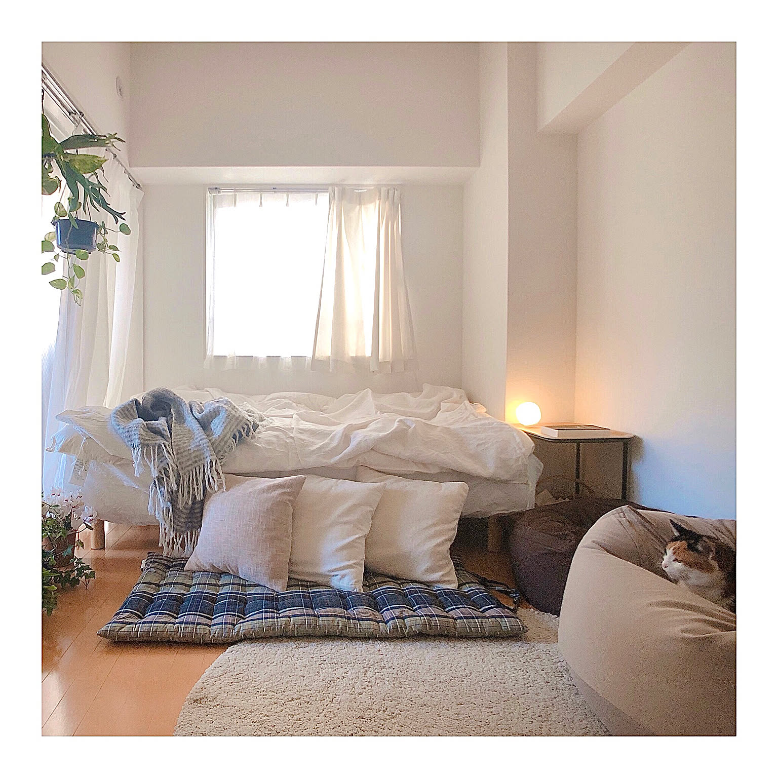 無印良品 無印ビーズクッションのおすすめ商品とおしゃれな実例