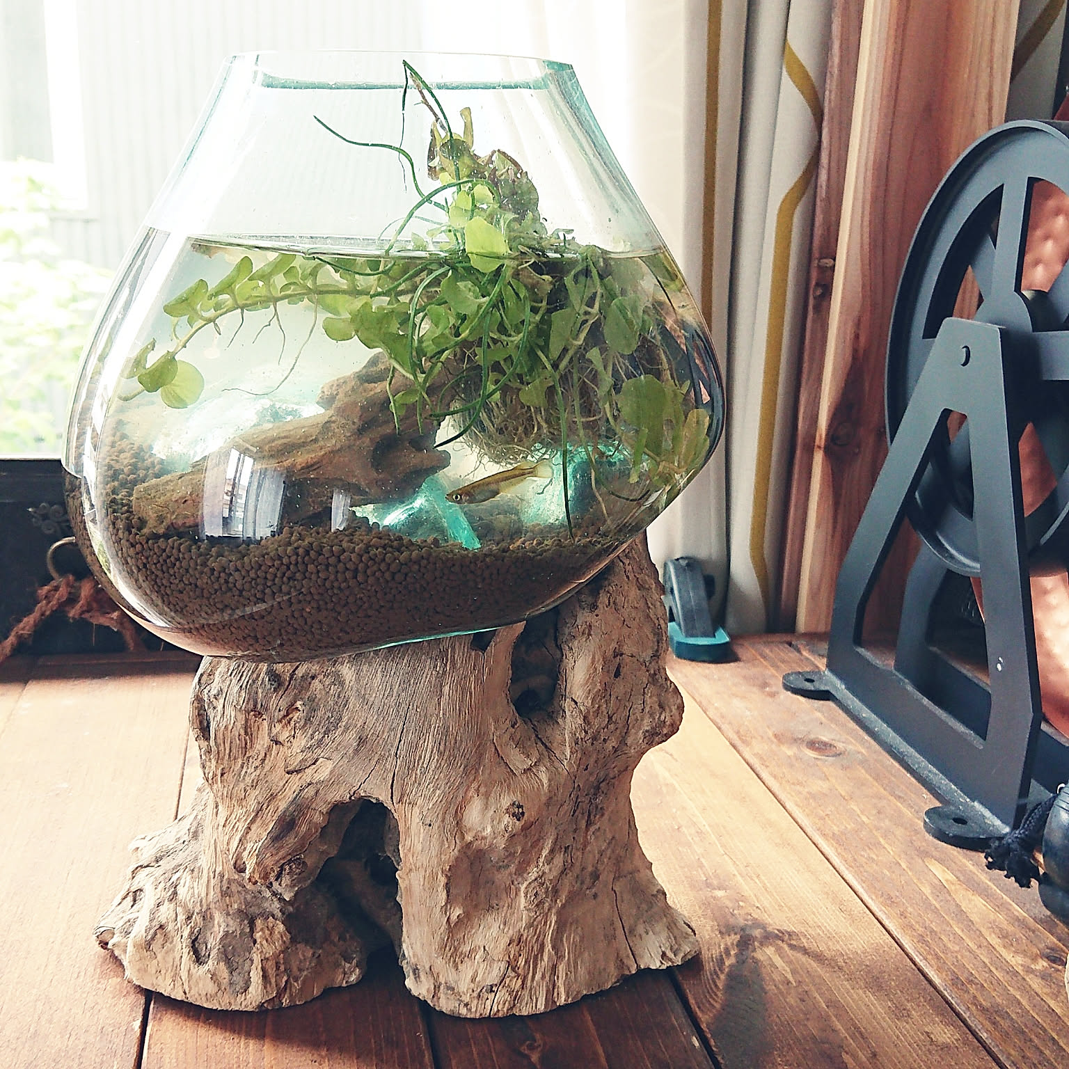 7f9bcf86eef07a50061efcd2e5381f