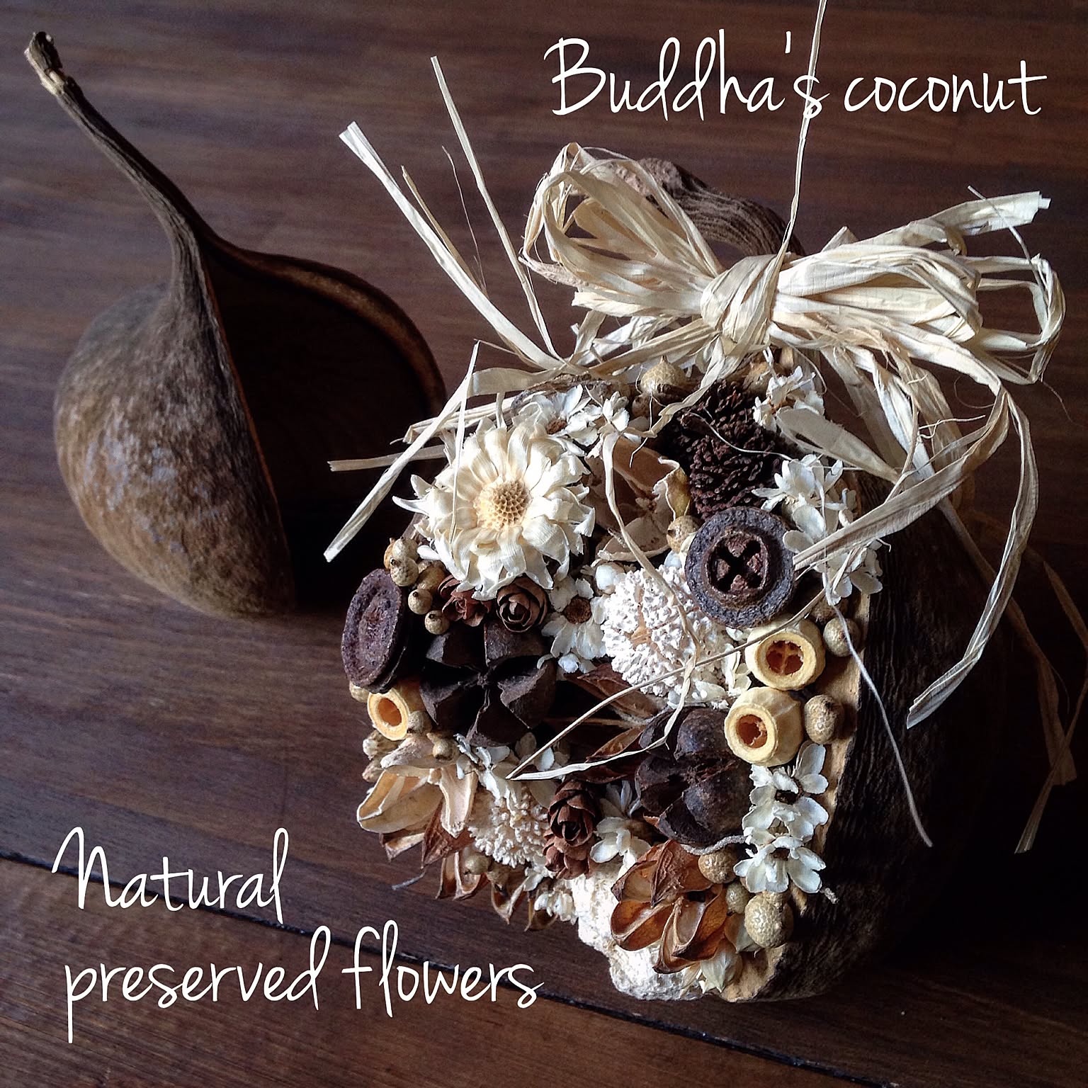 木の実 ブッダナッツのおすすめ商品とおしゃれな実例 ｜ RoomClip