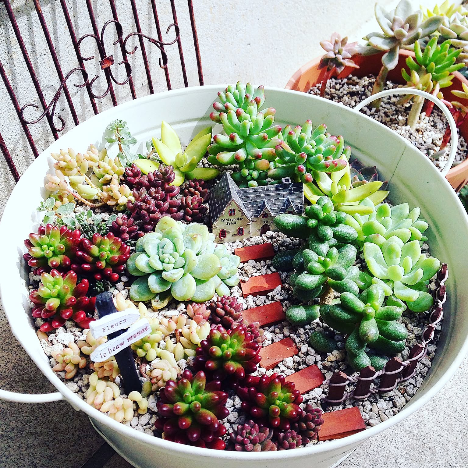 8025aa1af9e573e2b25dd168699140