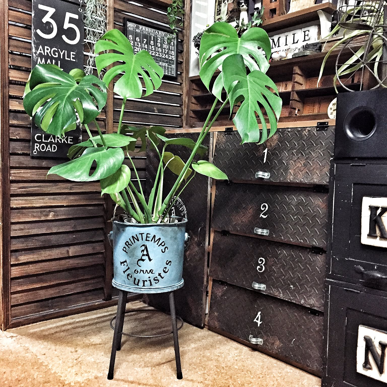 ニトリの花台のおすすめ商品とおしゃれな実例 ｜ RoomClip（ルーム