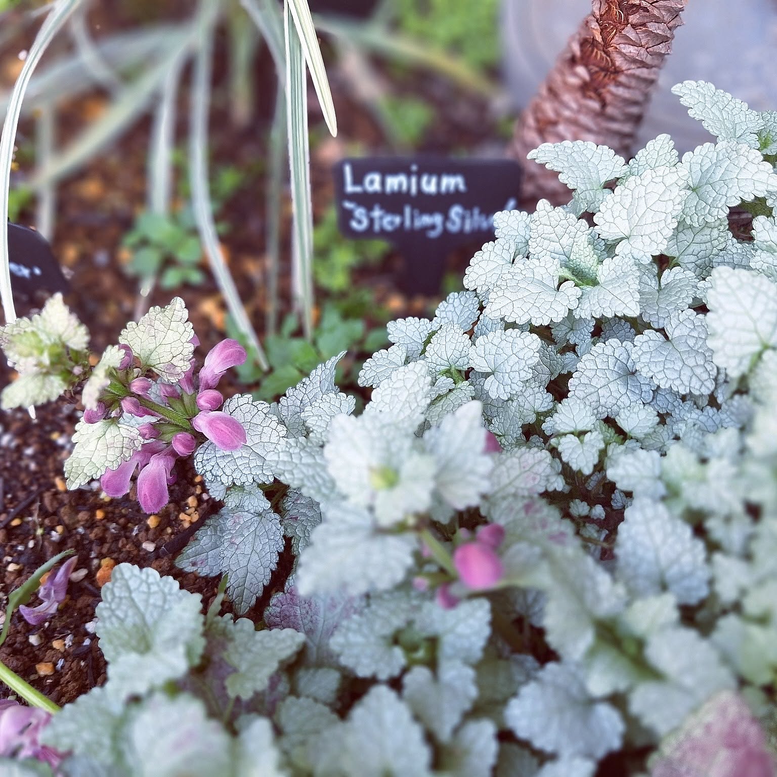 8161768b41f9b9311921a40a3c3d02