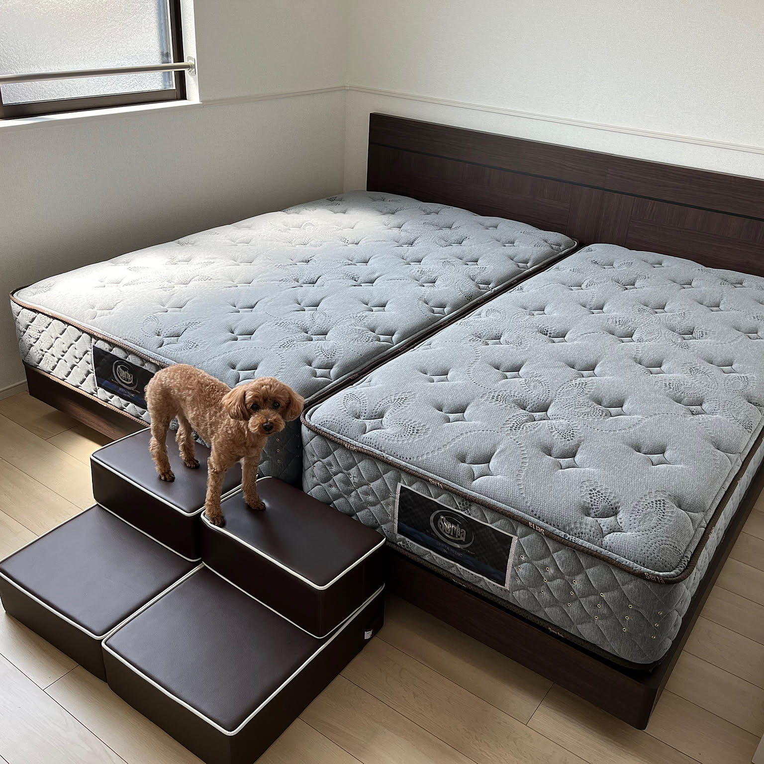 サータベッドのおすすめ商品とおしゃれな実例 ｜ RoomClip（ルーム