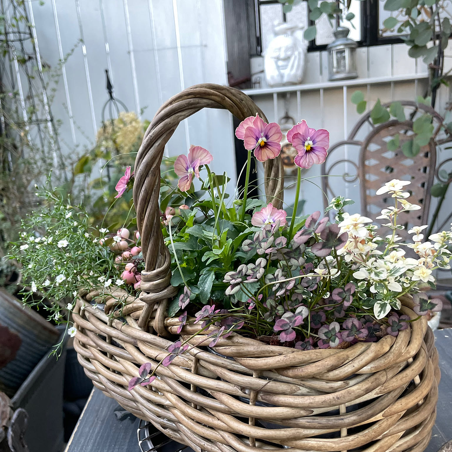カゴの寄せ植えのインテリア実例 ｜ RoomClip（ルームクリップ）