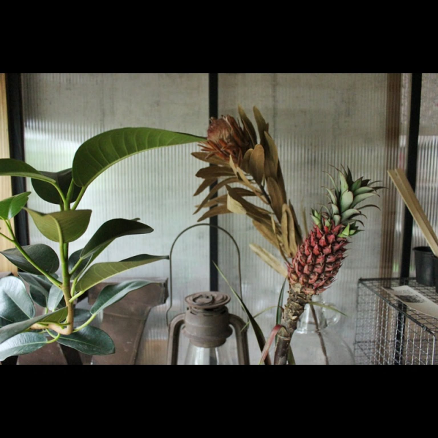 83cc902b42e9babd0848514d9efff6