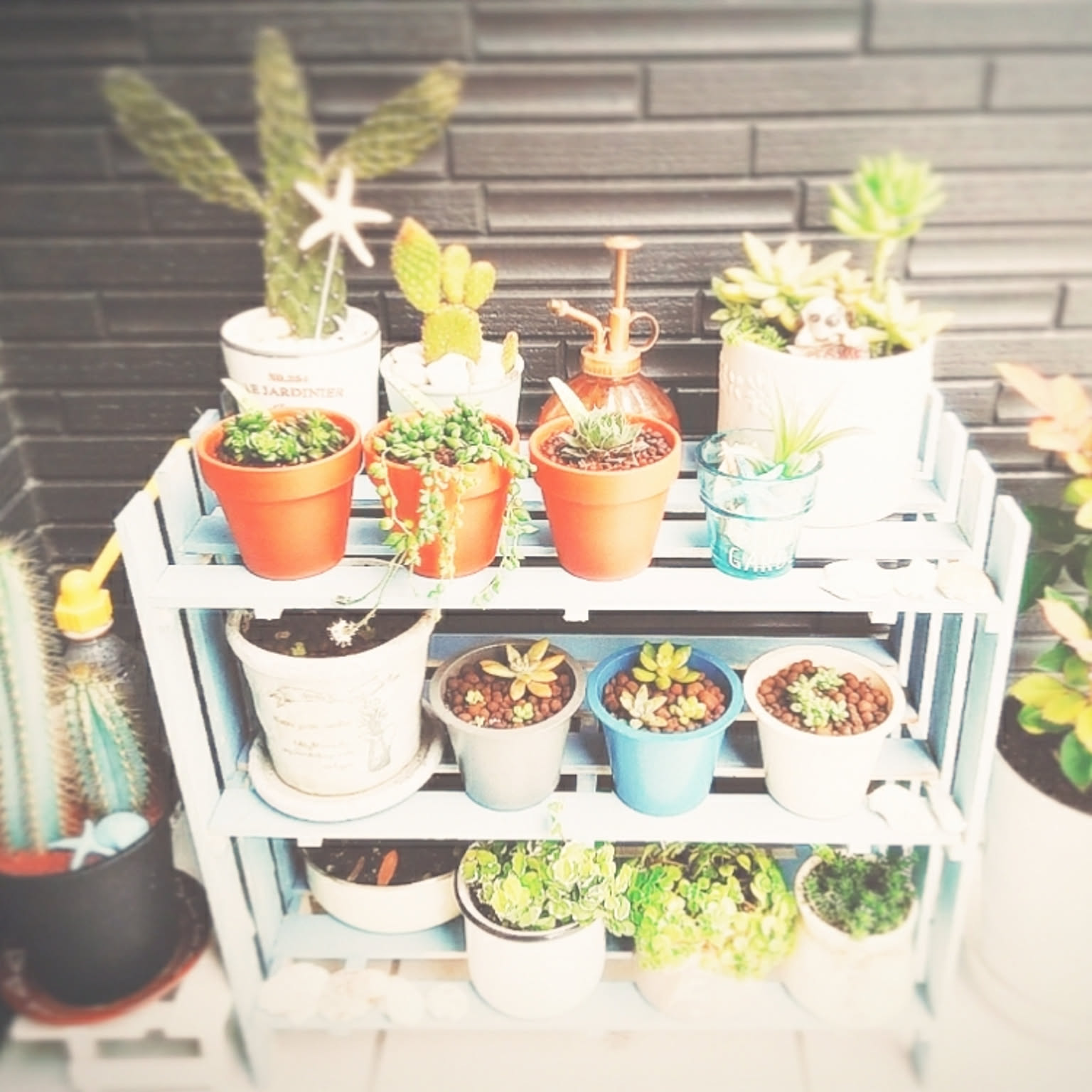 かごつき】男前インテリア 棚 ×2台 植物 多肉植物 インダストリアル 24