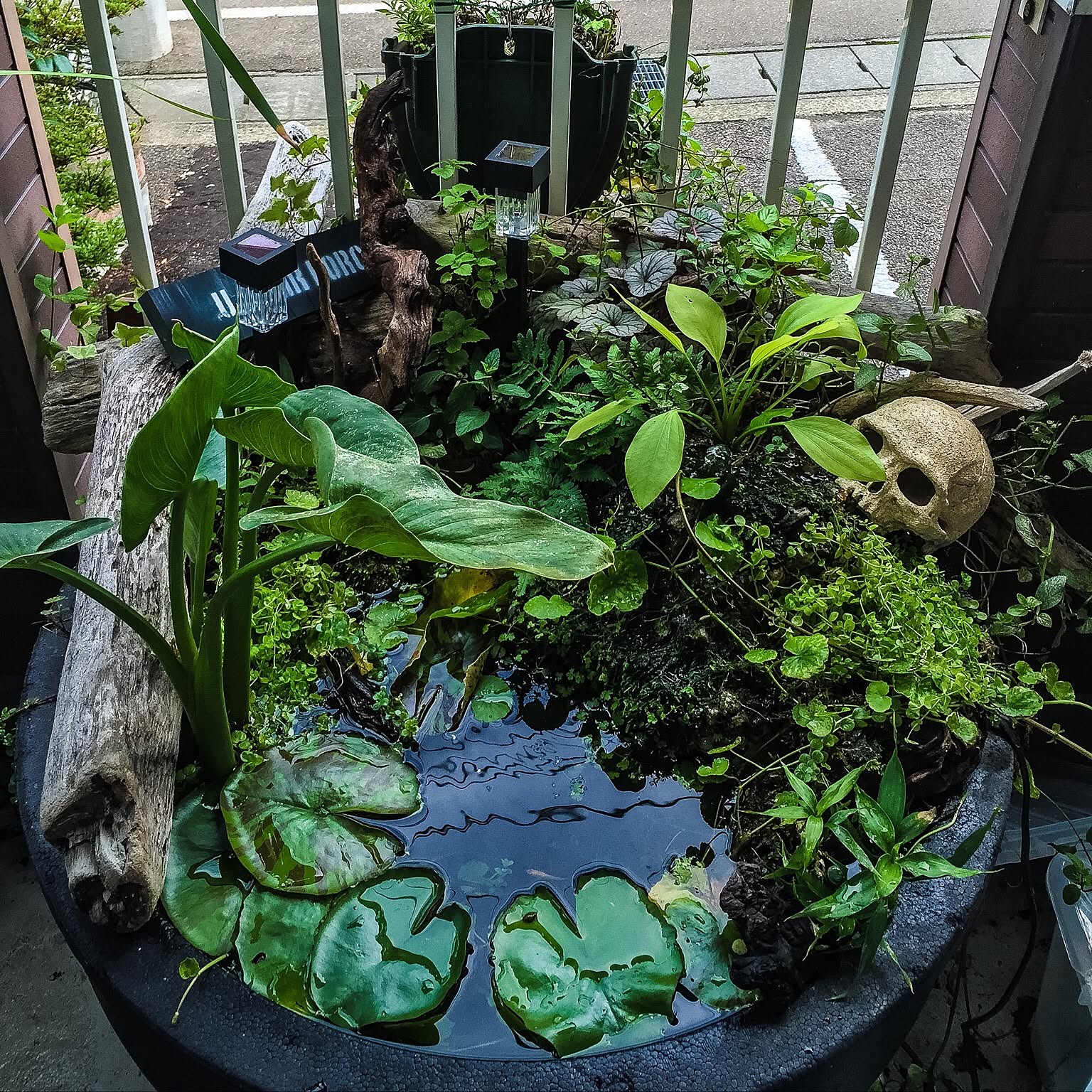 8481fd31b013fde9fe14d20b228374