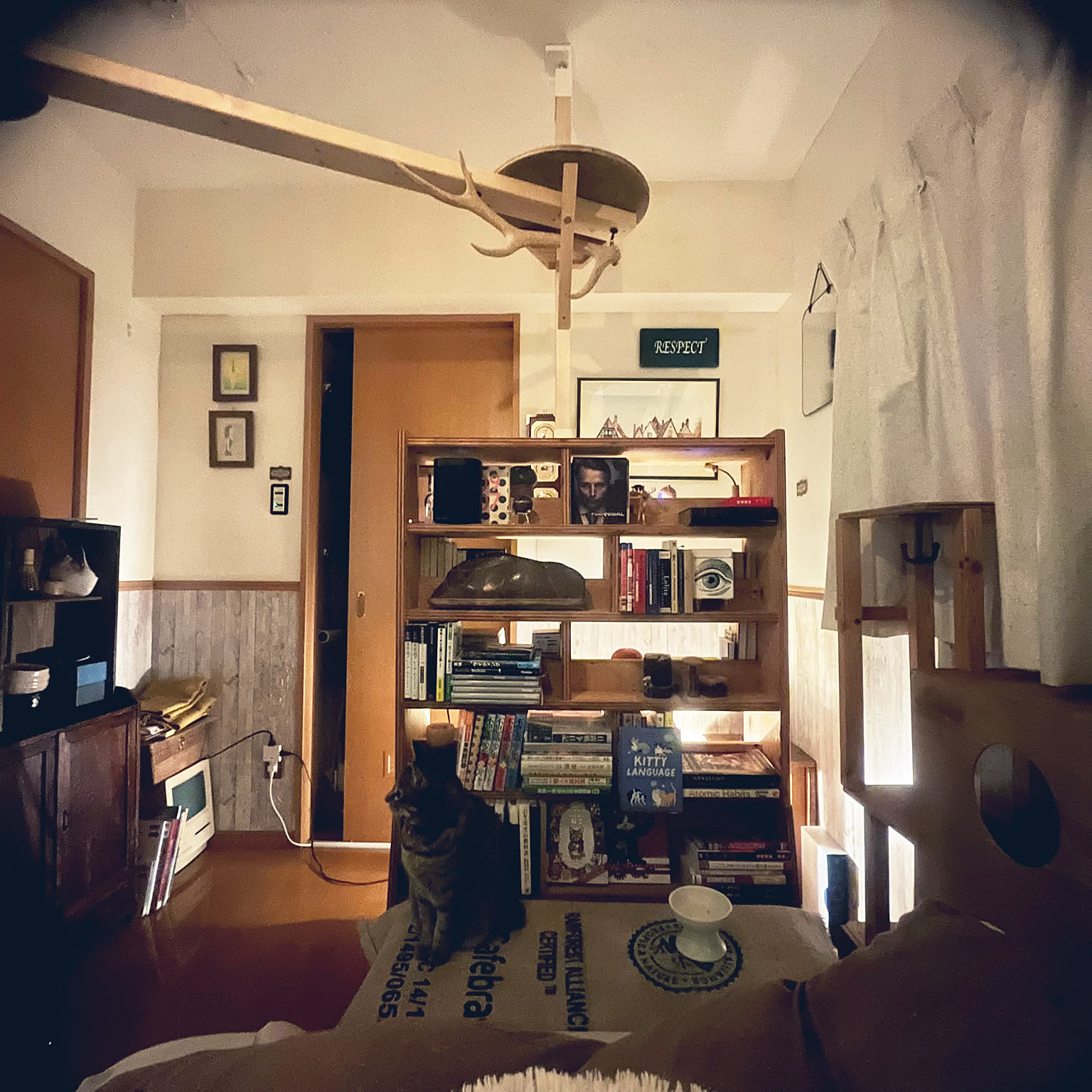 水石 インテリア装飾用 84c85187f84f760a50cc07a667853b