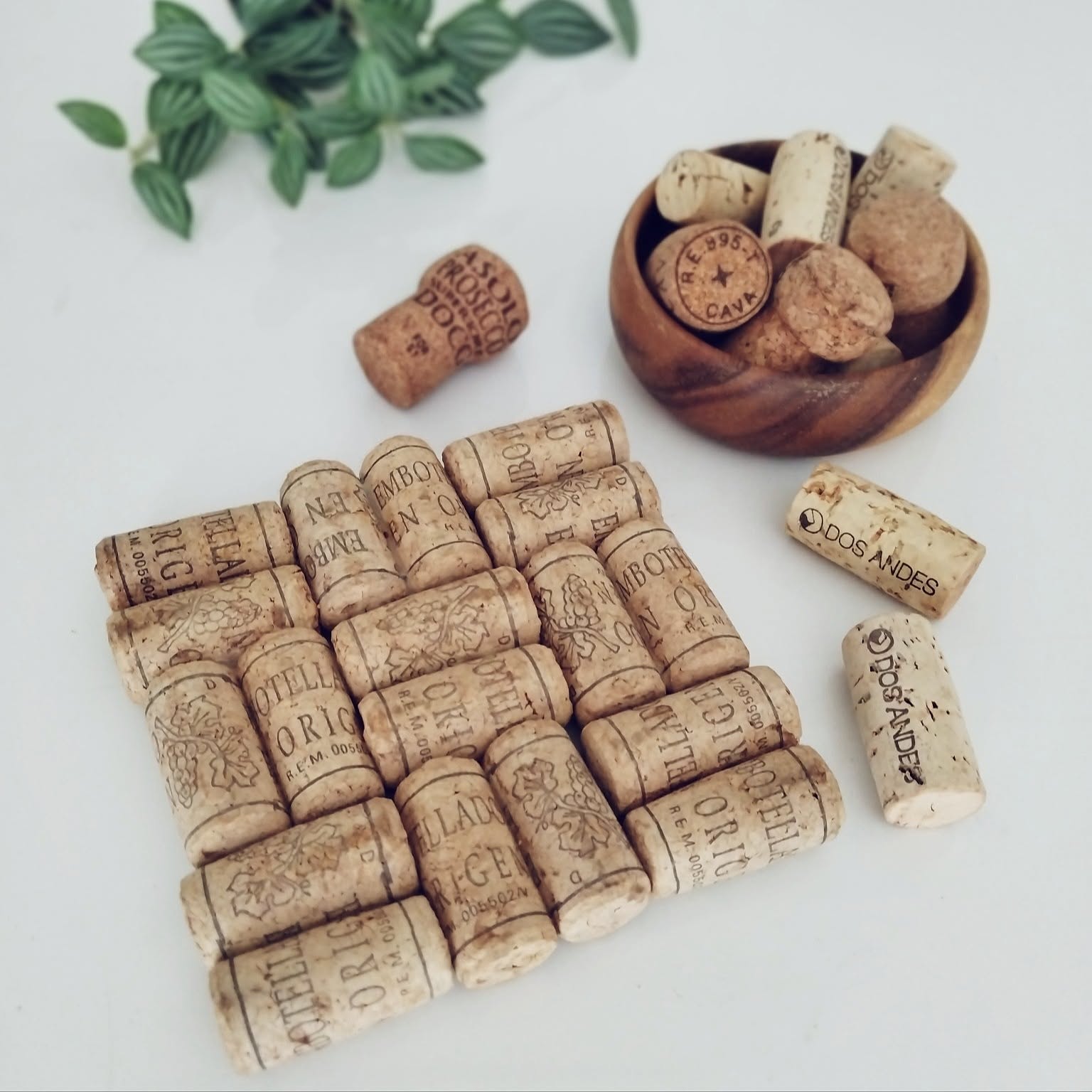 84ea3027e73639a15e3921f2c92976