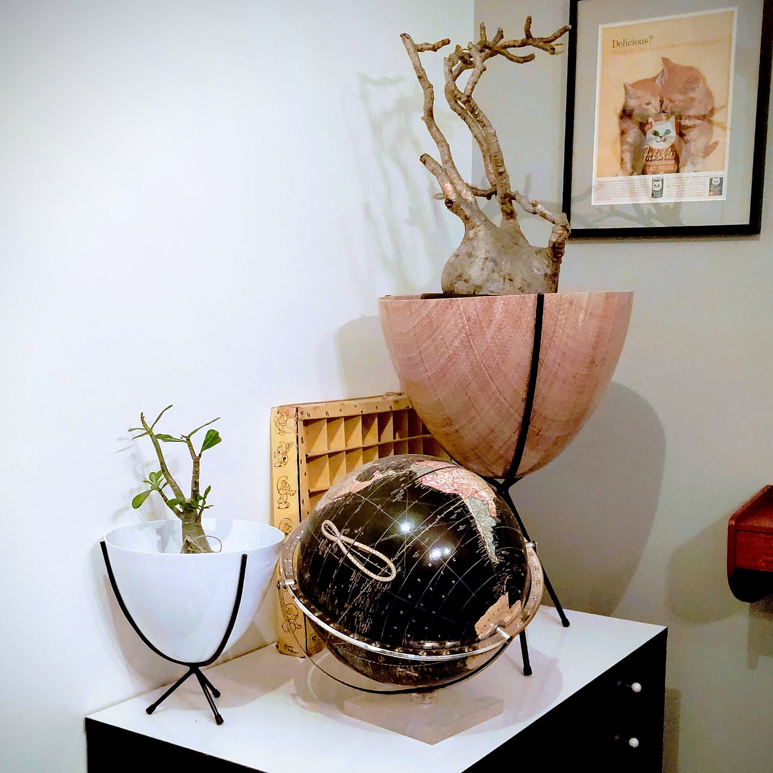 観葉植物 バレットプランターのおすすめ商品とおしゃれな実例