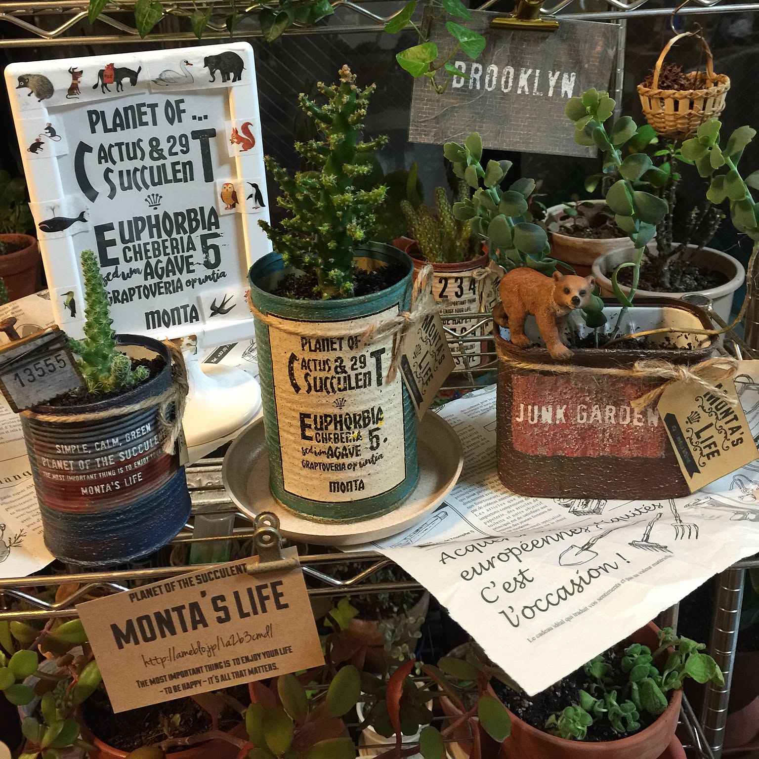 多肉植物 montaさんのおしゃれなアレンジ・飾り方のインテリア 多肉植物 montaさんのおしゃれなアレンジ・飾り方のインテリア