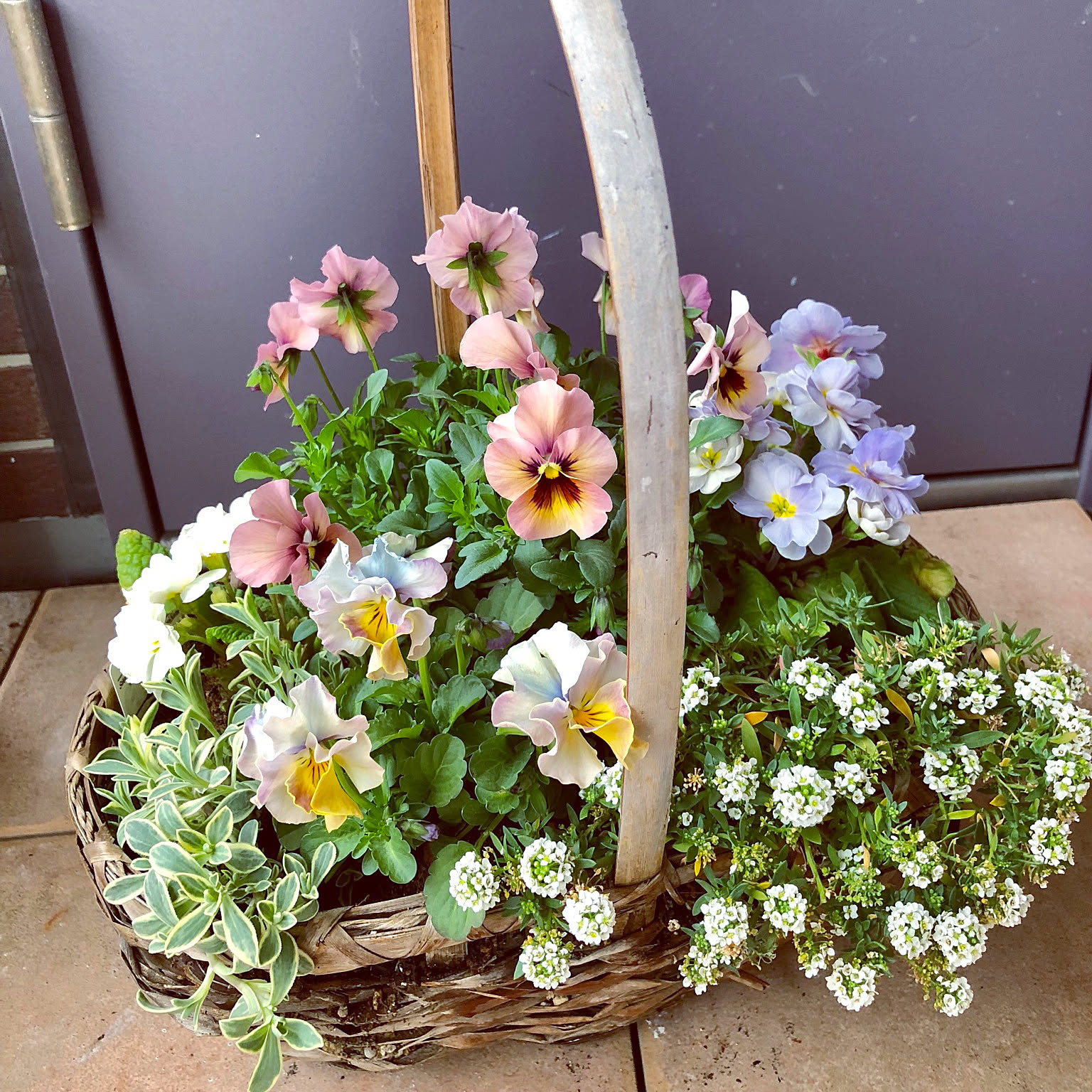 寄せ植え パステルカラーのインテリア実例 ｜ RoomClip（ルームクリップ）