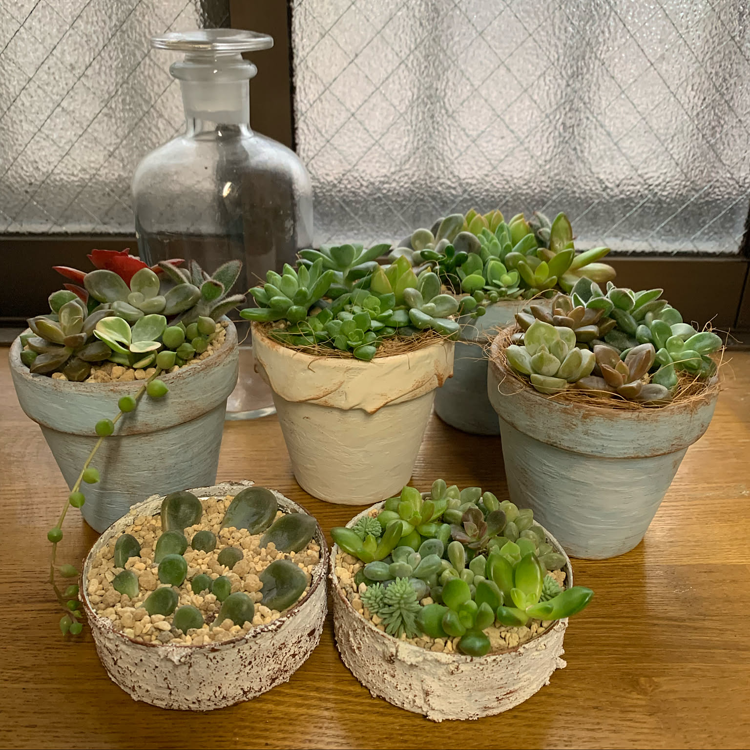 多肉寄せ植え/多肉植物/リメ鉢/リメイク缶/リメイク鉢などの