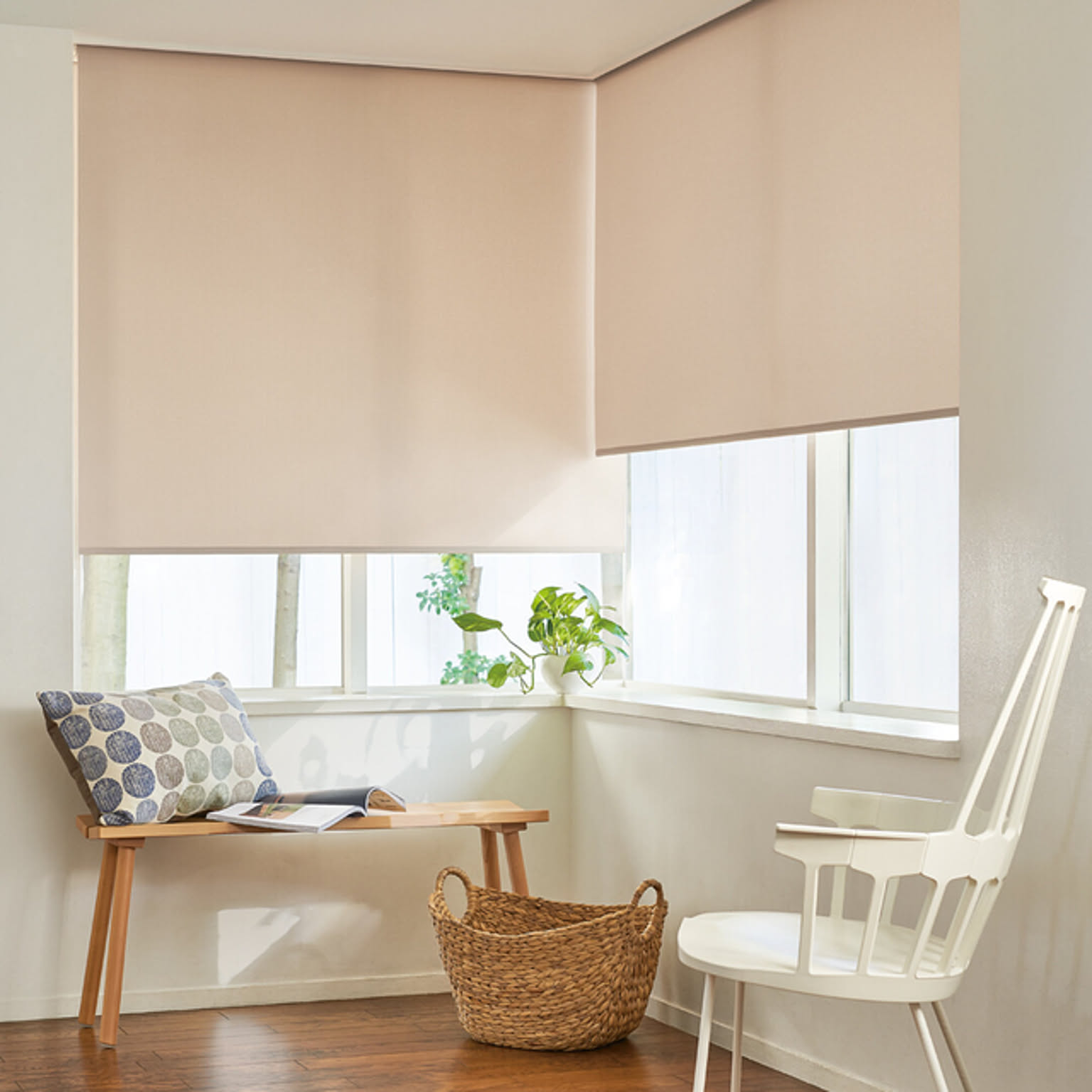 86534a4dc5f560ef9a6ab44834b220